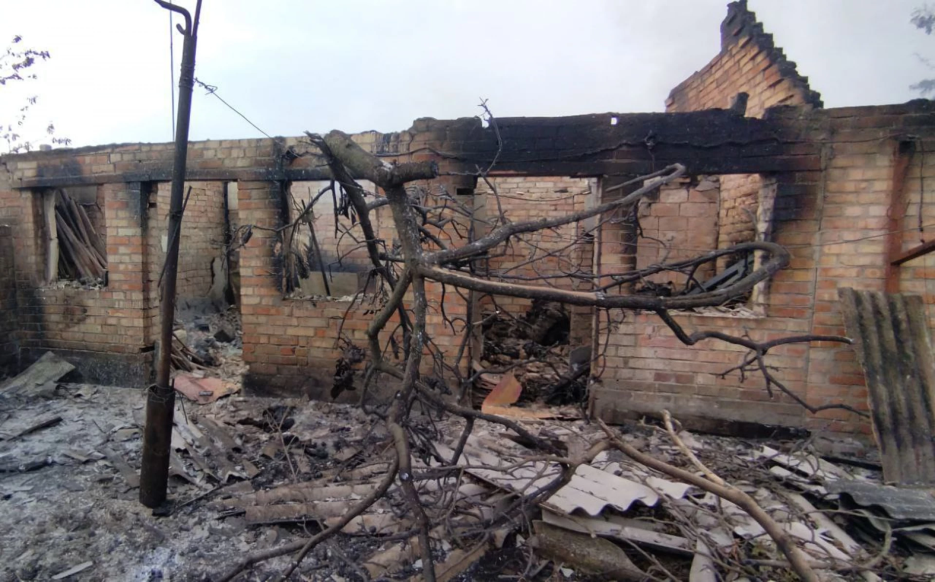 На Дніпропетровщині внаслідок обстрілу загинули 20 тварин, згоріли 5 авто
