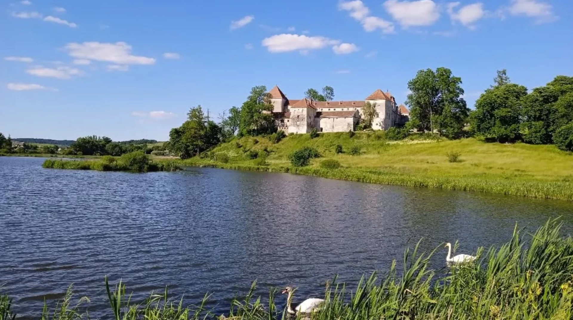Свірзький замок став майданчиком для відомих фільмів. Історія фортеці на Львівщині