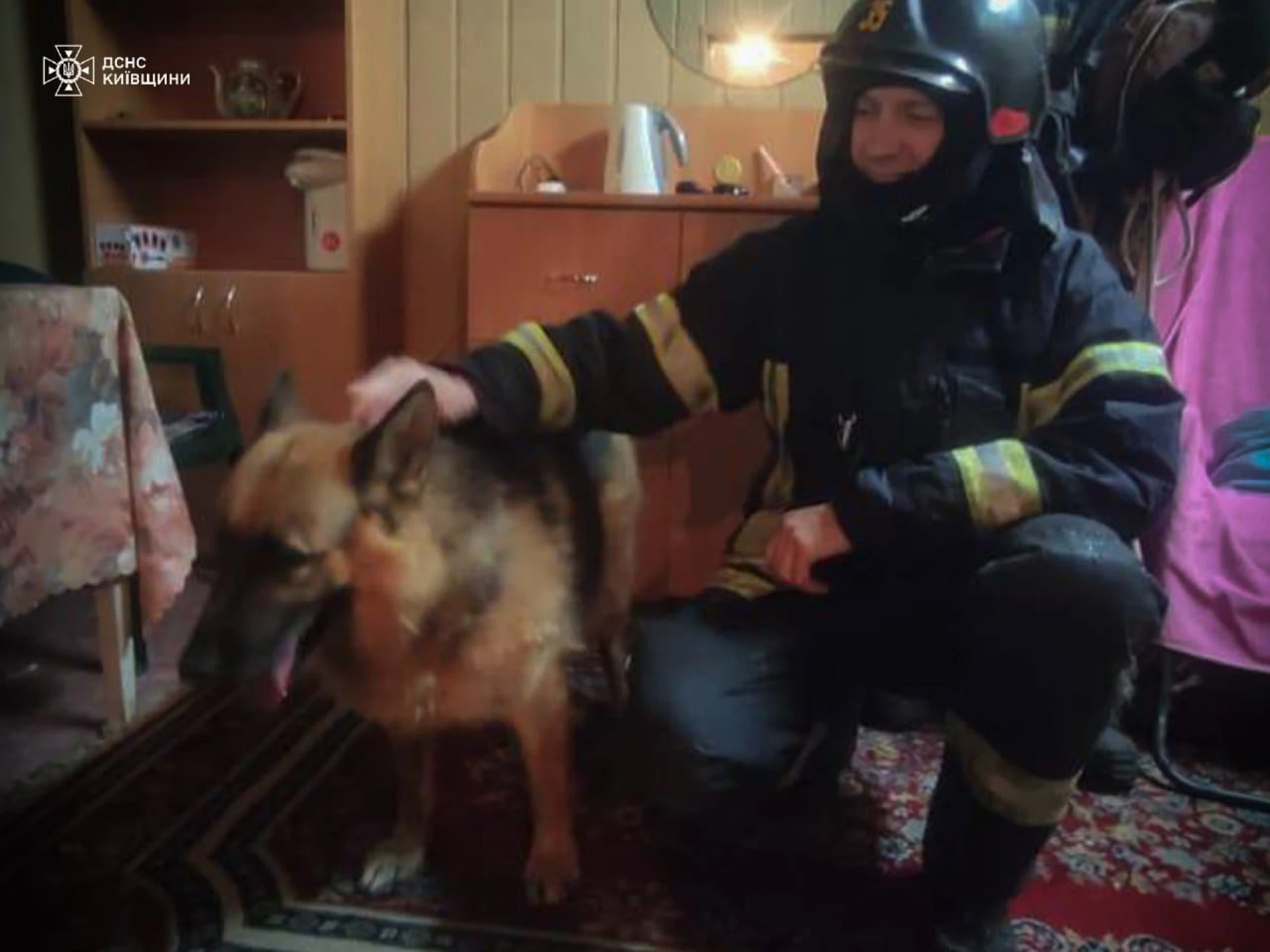 На Київщині витягли налякану вибухами вівчарку з насосної ями