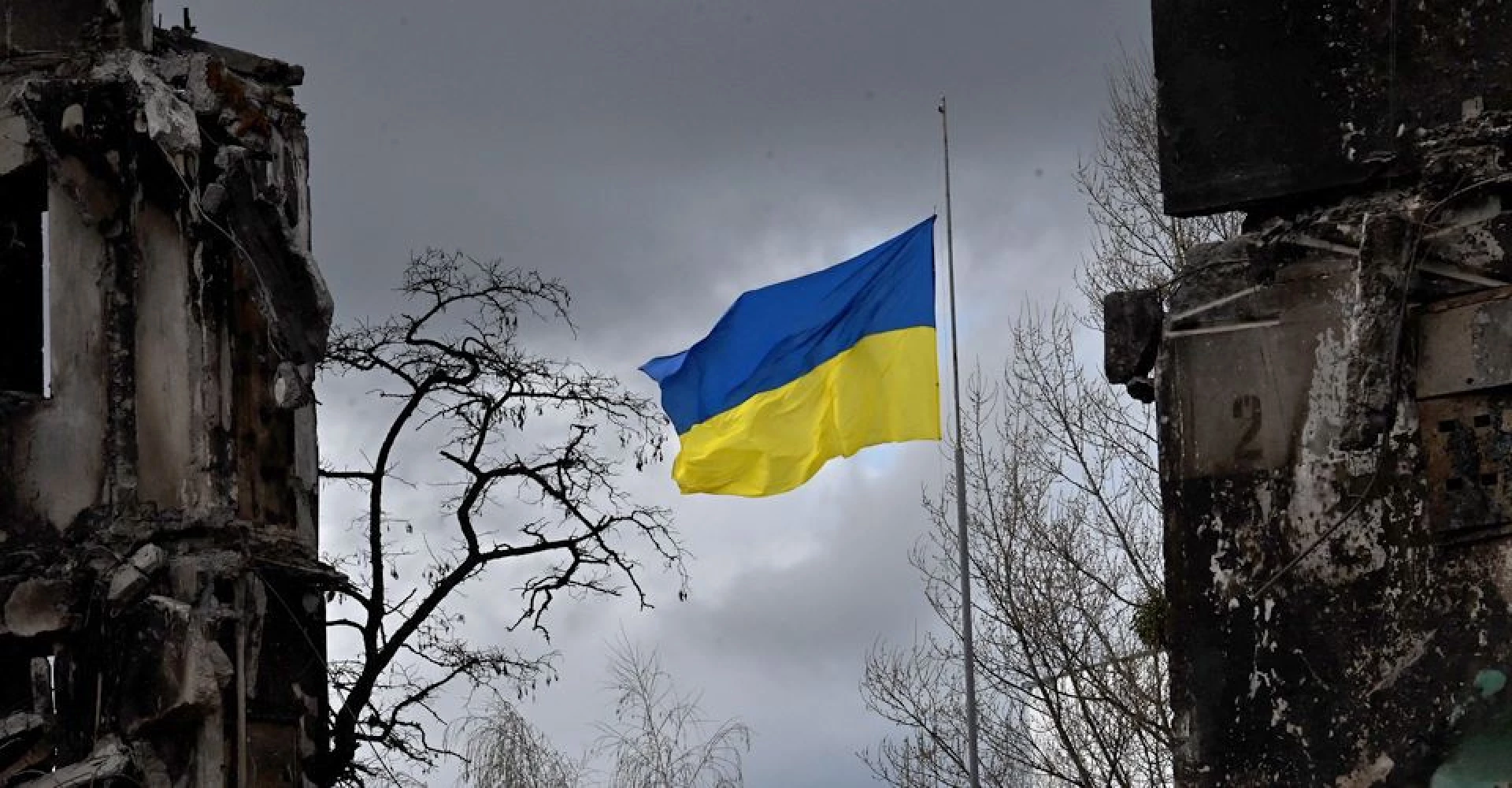 У Києві презентують виставку «Стан волі» про війну, людяність і стійкість українців