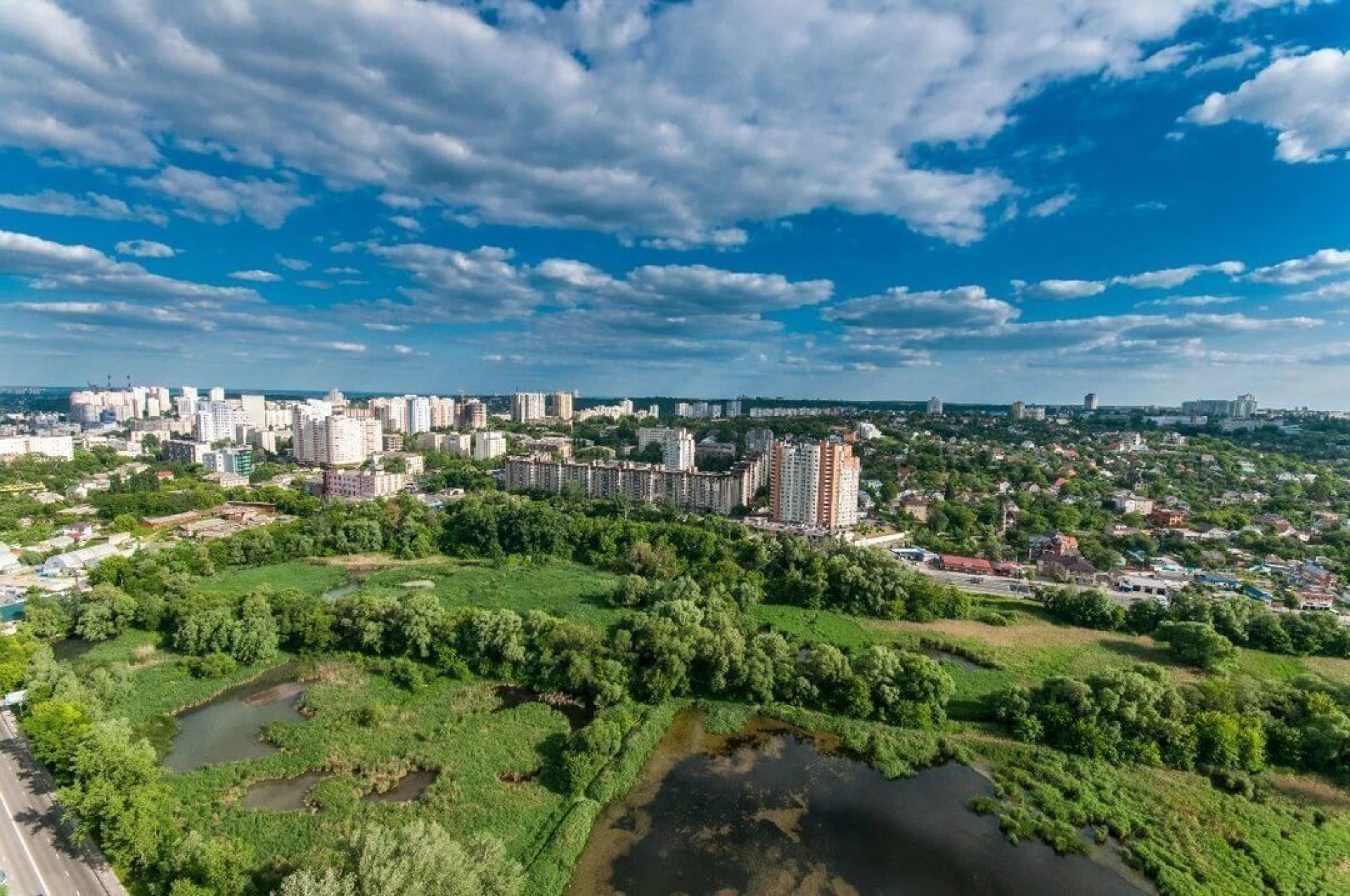 У Києві незаконно знищили майже півсотні дерев на Совських ставках