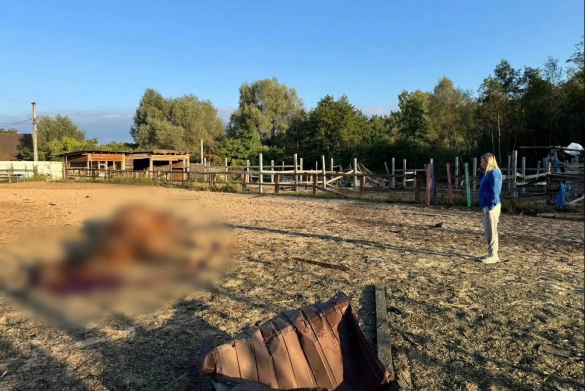 Назвали клички коней, які загинули від російських дронів на Київщині