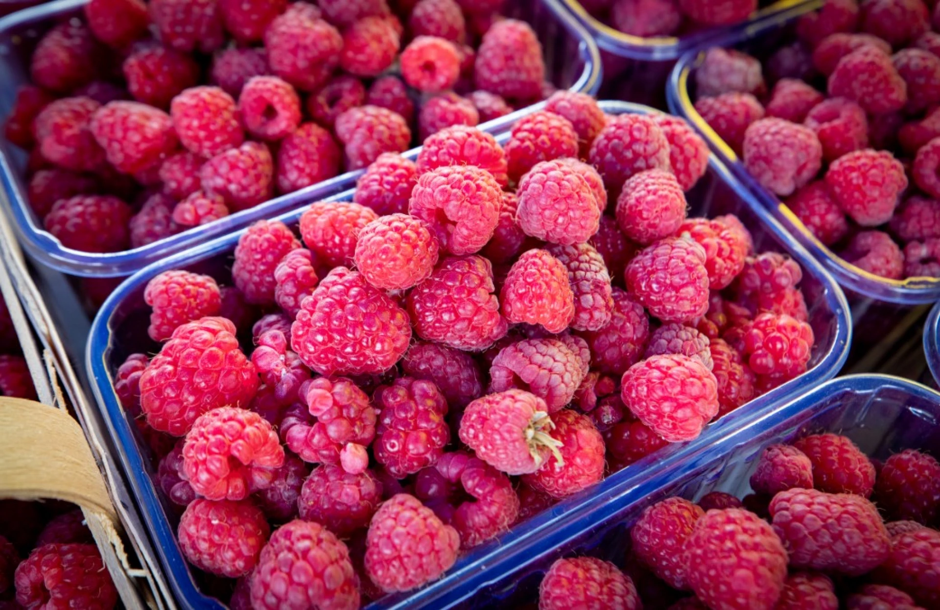 Продуктові ярмарки в Києві сьогодні –23 вересня 2025