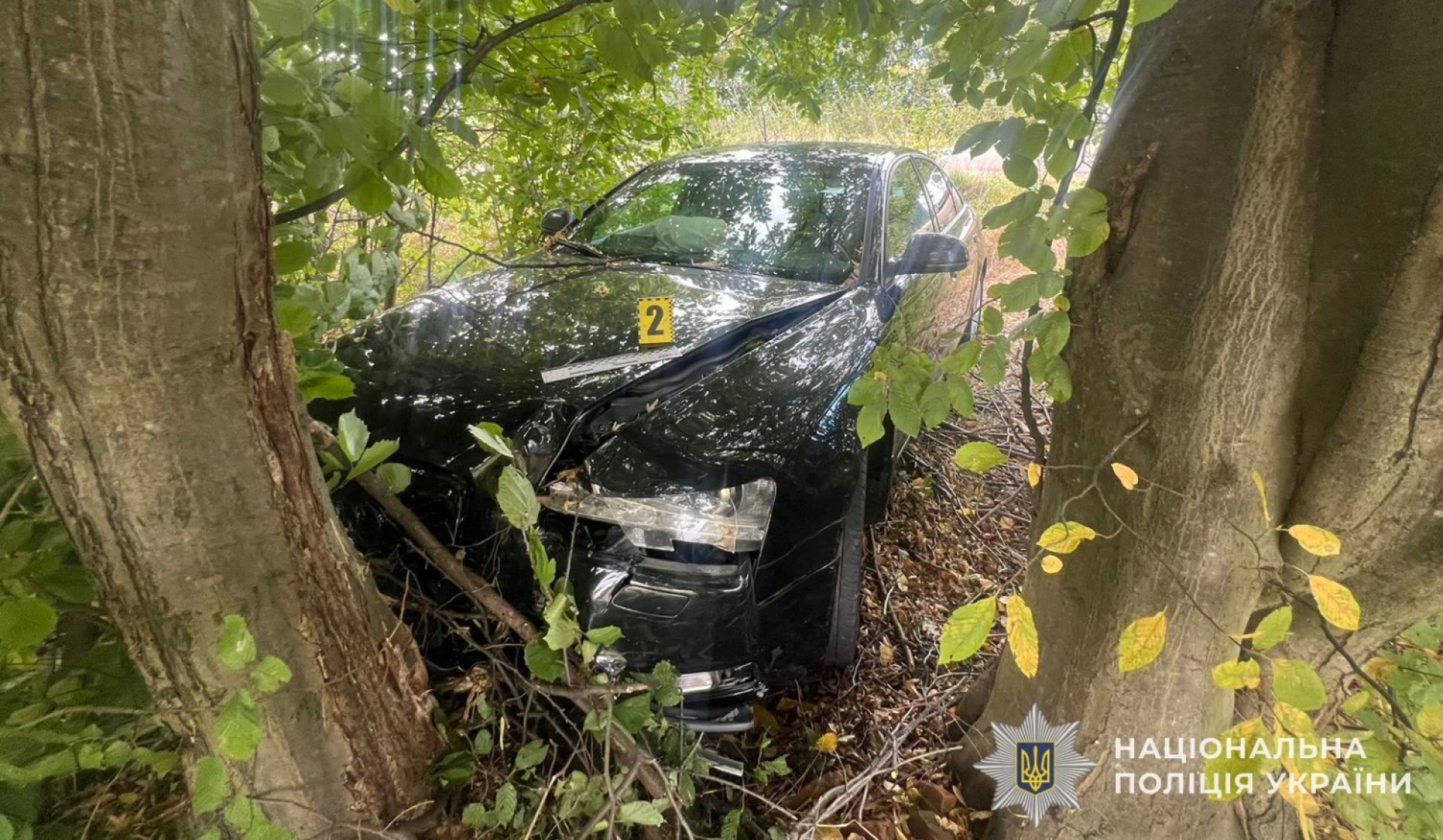 Мама трьох дітей на Audi злетіла з дороги при обгоні вантажівки: серед постраждалих – немовля