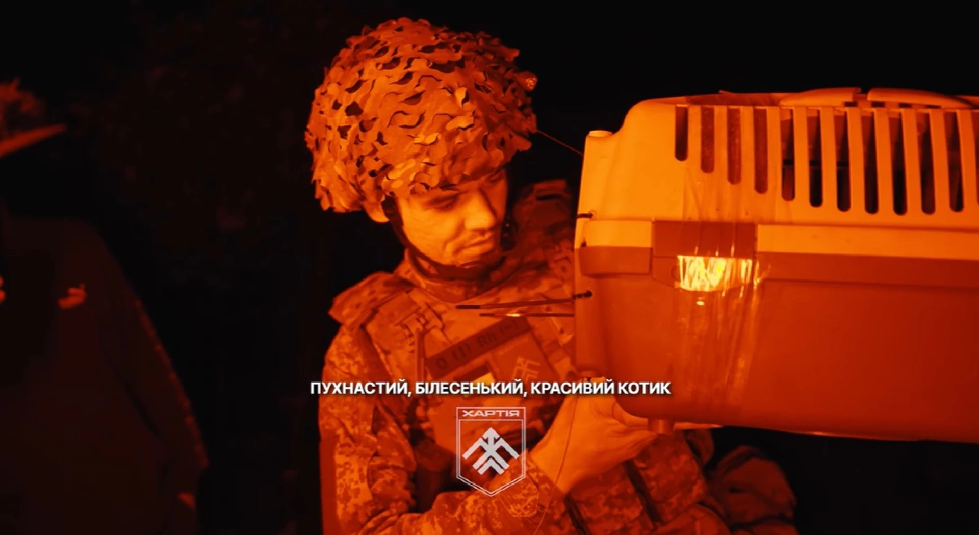 Військові показали відео, як евакуювали з передової кота Прапора