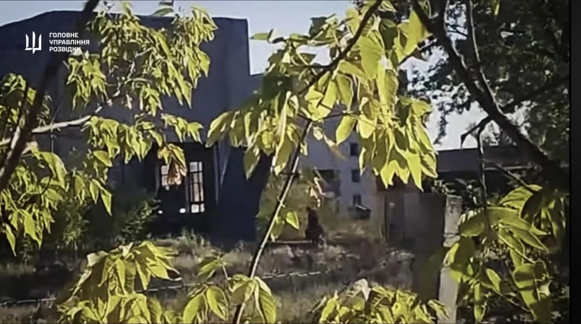 У Мелітополі підірвали автомобіль з операторами дронів РФ