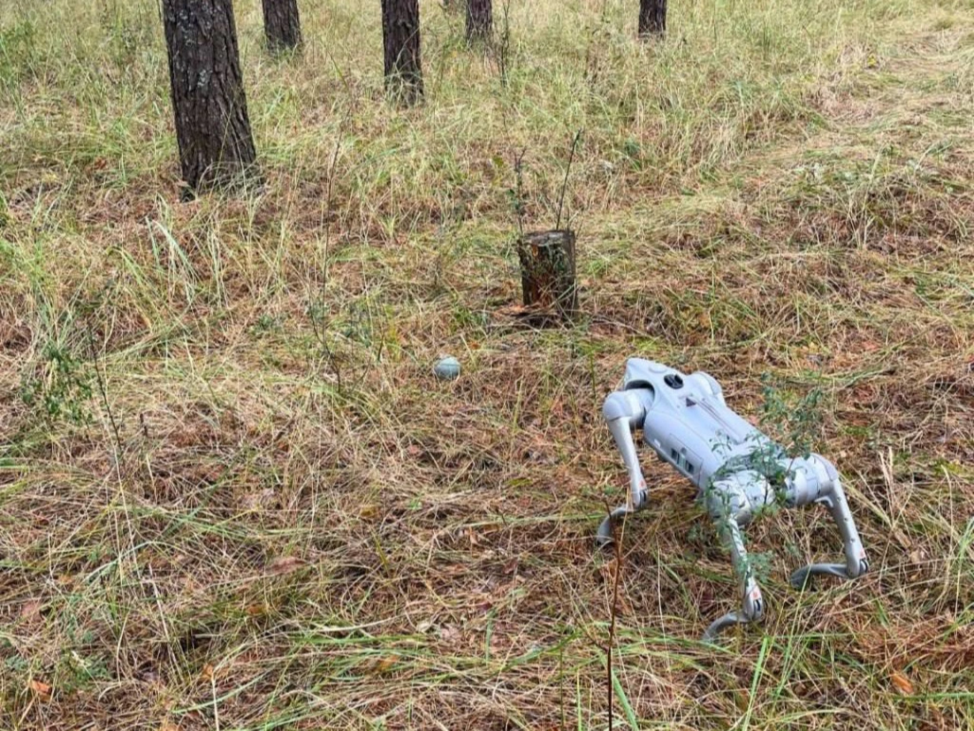 На Київщині після ворожого обстрілу виявили елементи касетних боєприпасів