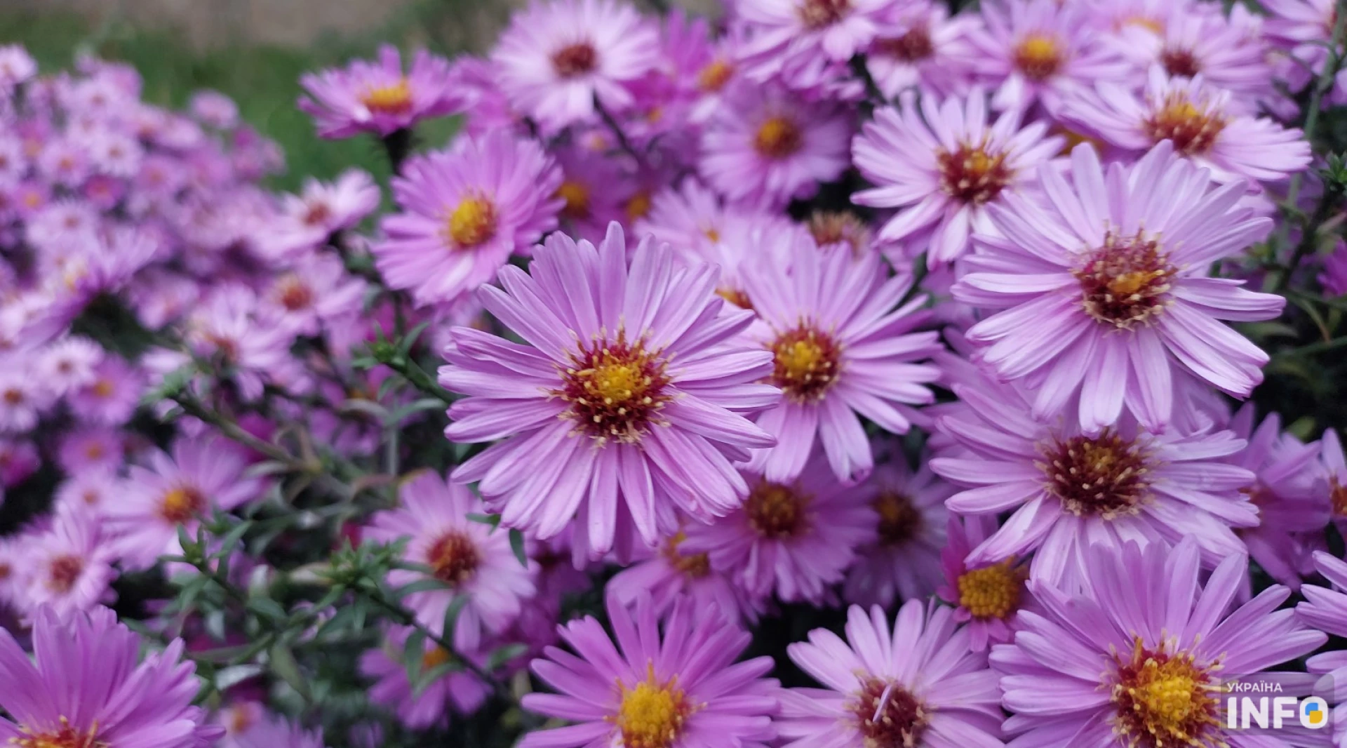 У вівторок циклон принесе дощі в 4 області