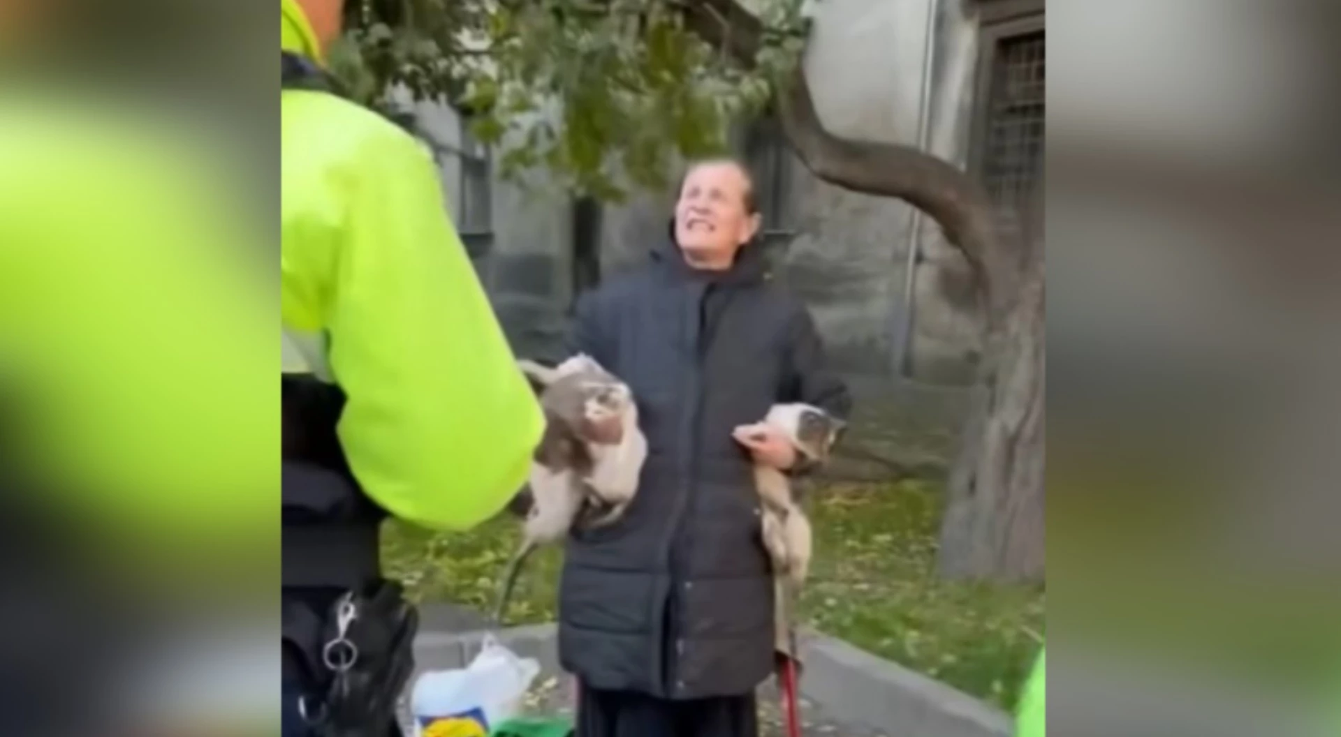 Скриншот з відео