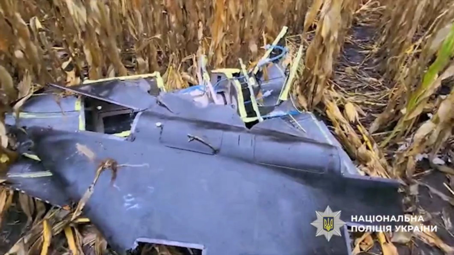 На Бориспільщині вибухотехніки знищили бойову частину ворожого БпЛА