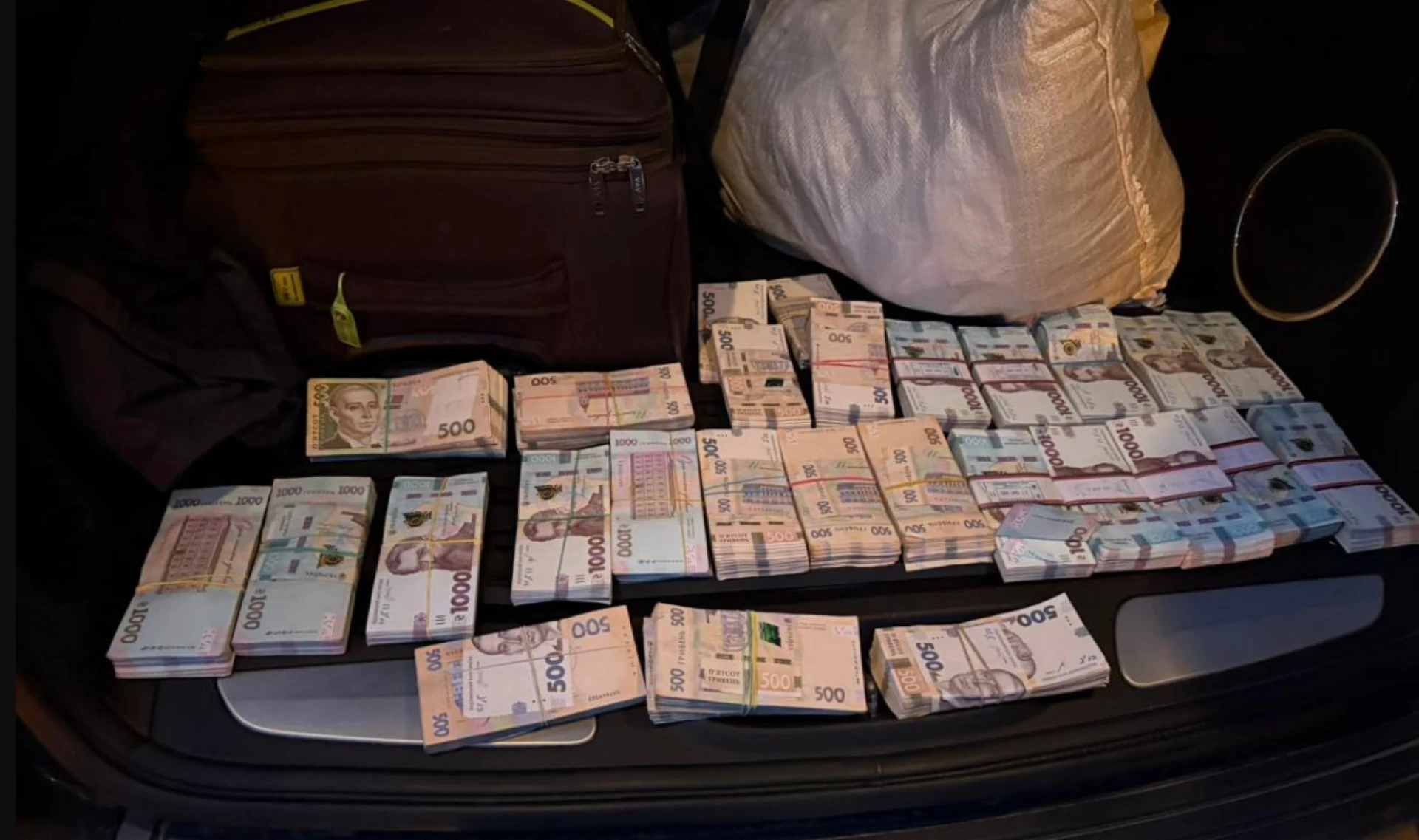 Викрили масштабну схему незаконної вирубки дубів у шести областях України