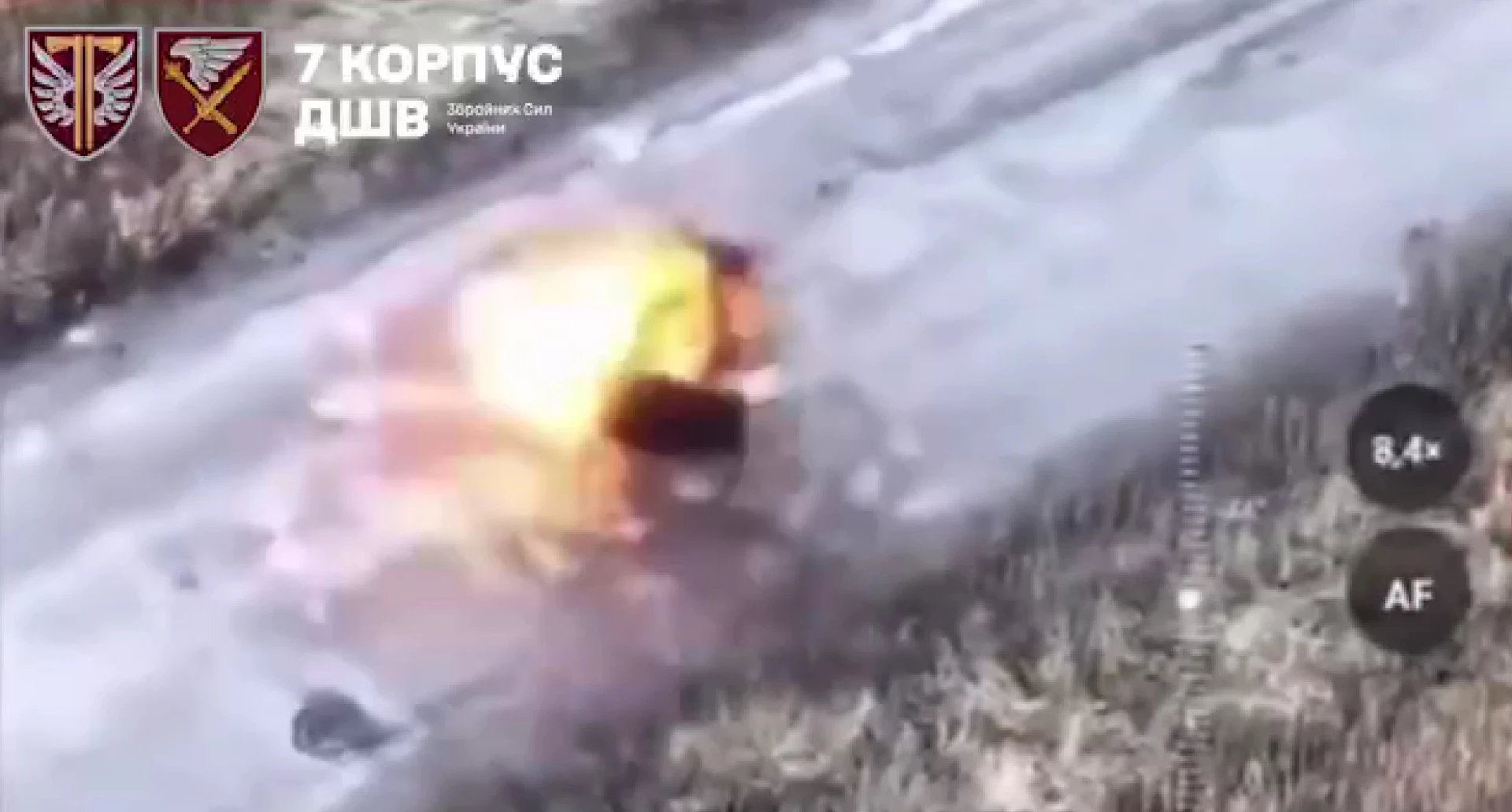 Вбили двох людей і собаку, які йшли дорогою із білим прапором на Харківщині