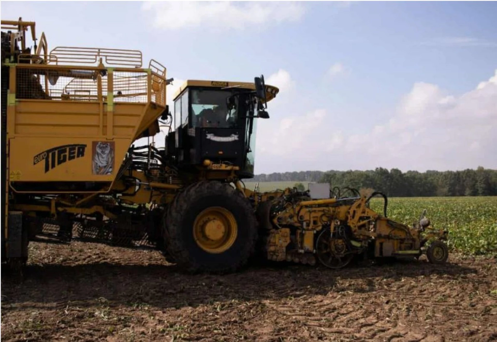 Черкащина продовжує жнивувати