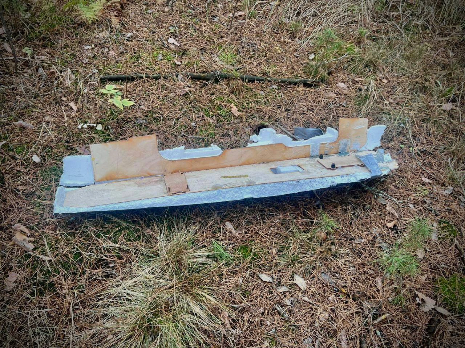 Частина дрона вибухнула у лісі на Чернігівщині, коли діти збирали гриби