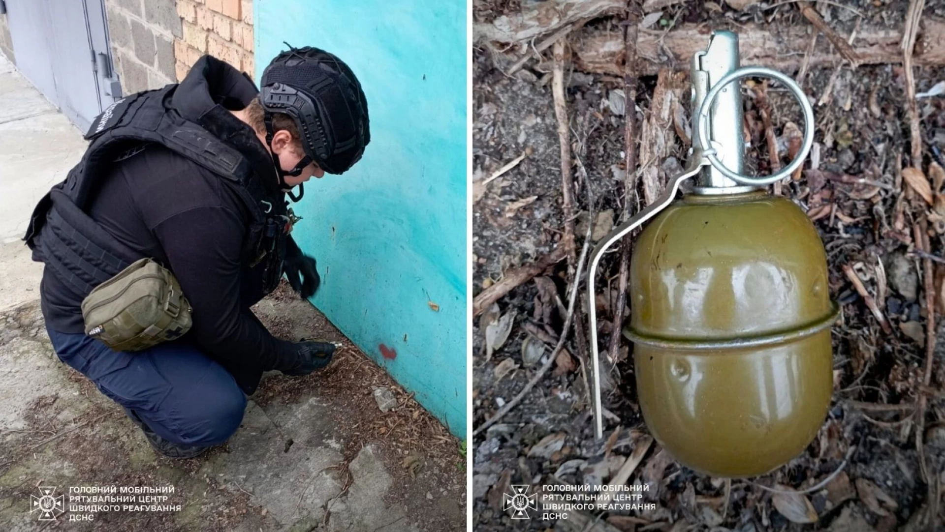 На Київщині сапери знешкодили бойову гранату, знайдену біля гаража