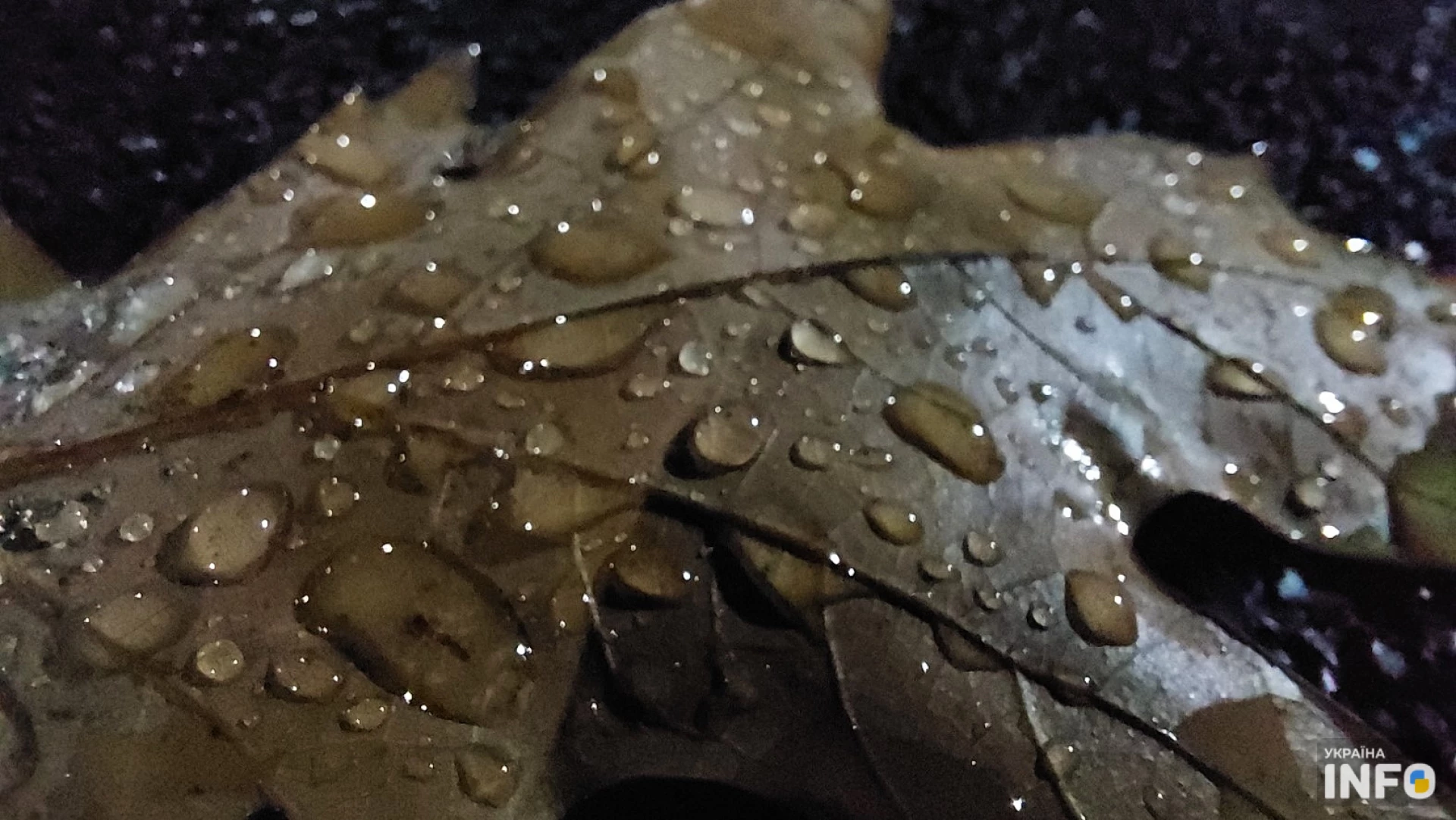 Теплу ніч і невеликий дощ прогнозують у середу