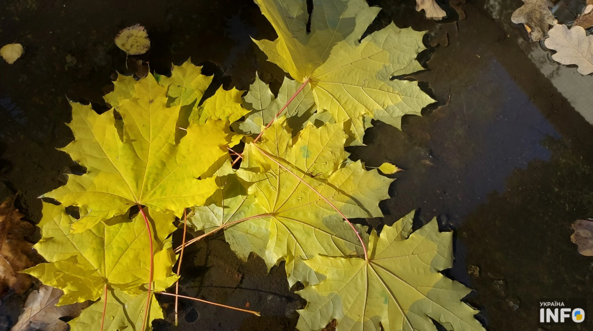 На вихідних в Україні прогнозують до +17 тепла