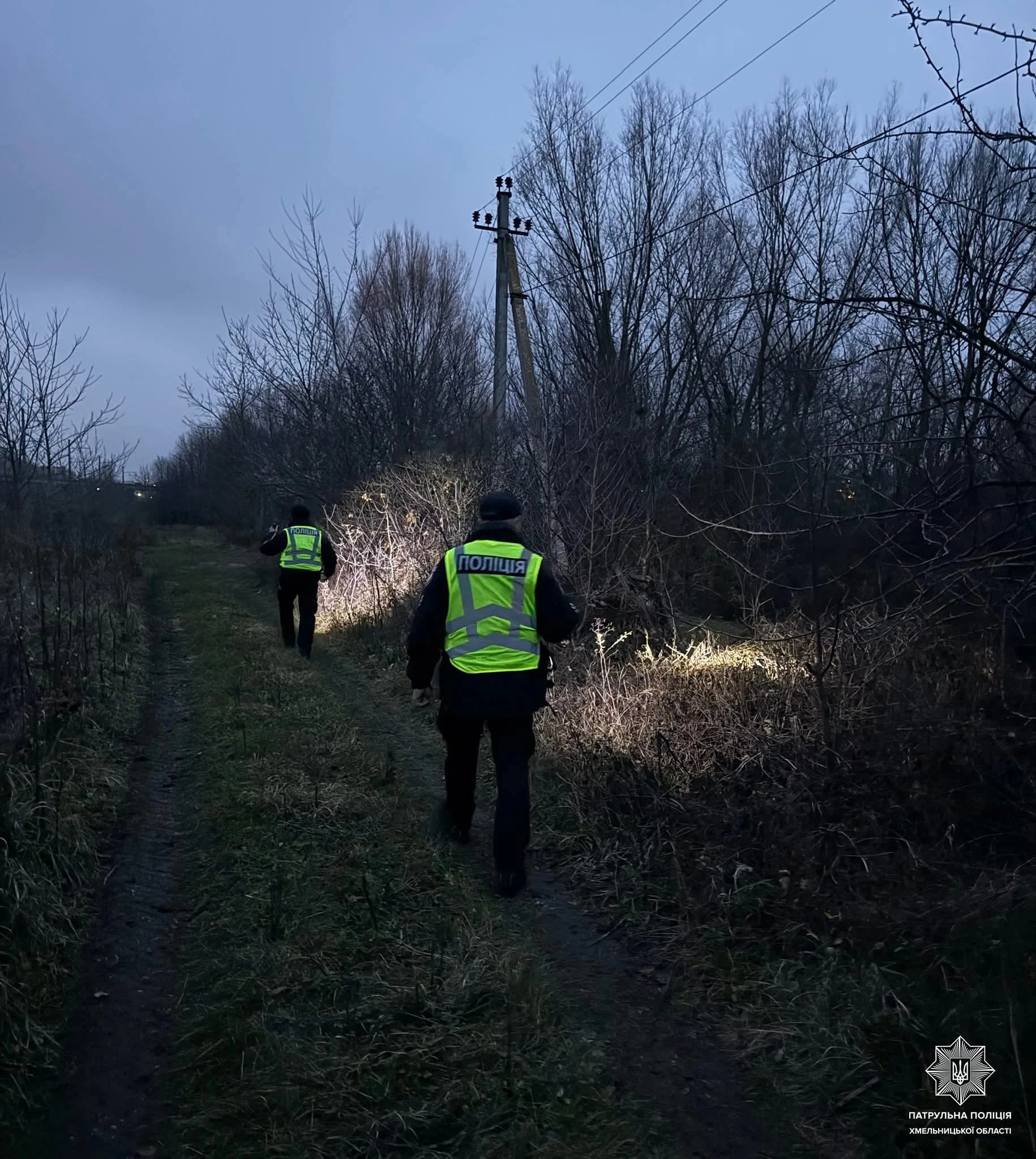 Впіймали левиць, які втекли у Хмельницькому