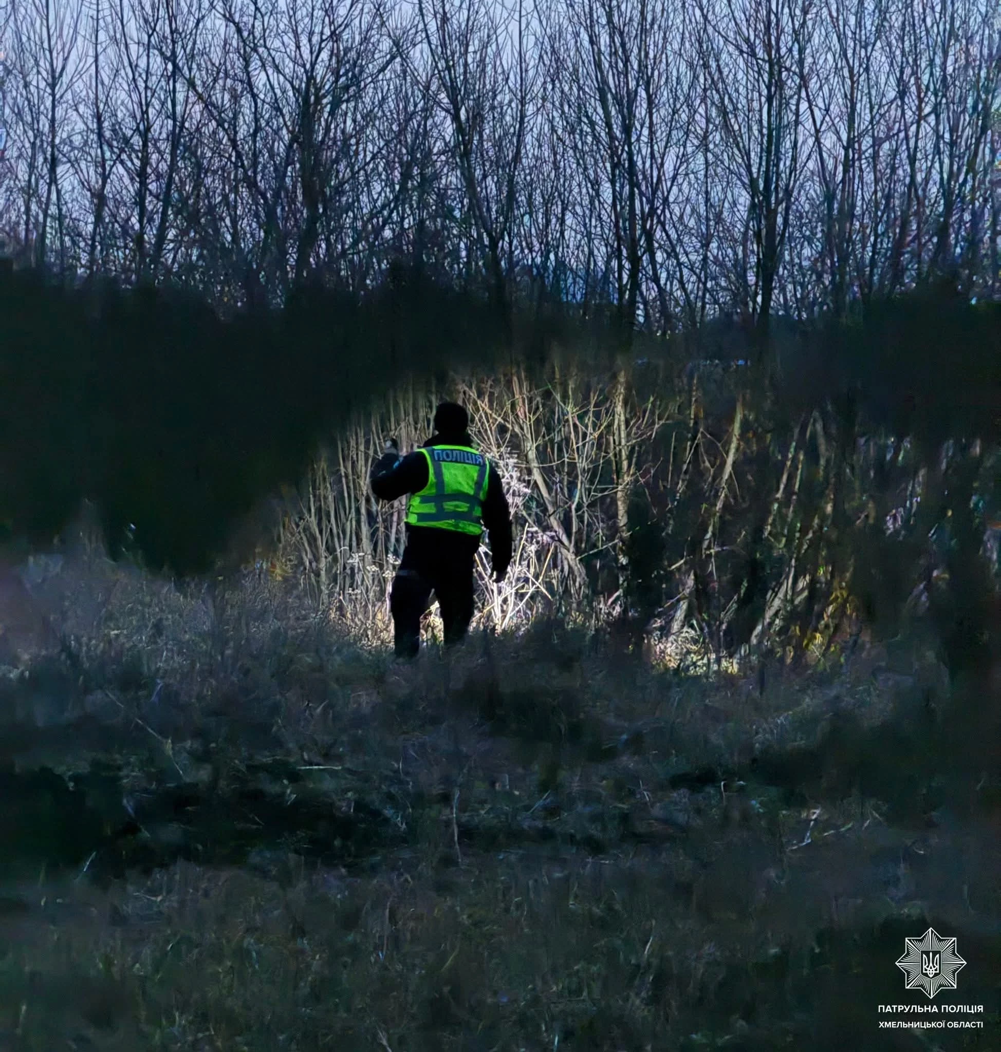 Впіймали левиць, які втекли у Хмельницькому