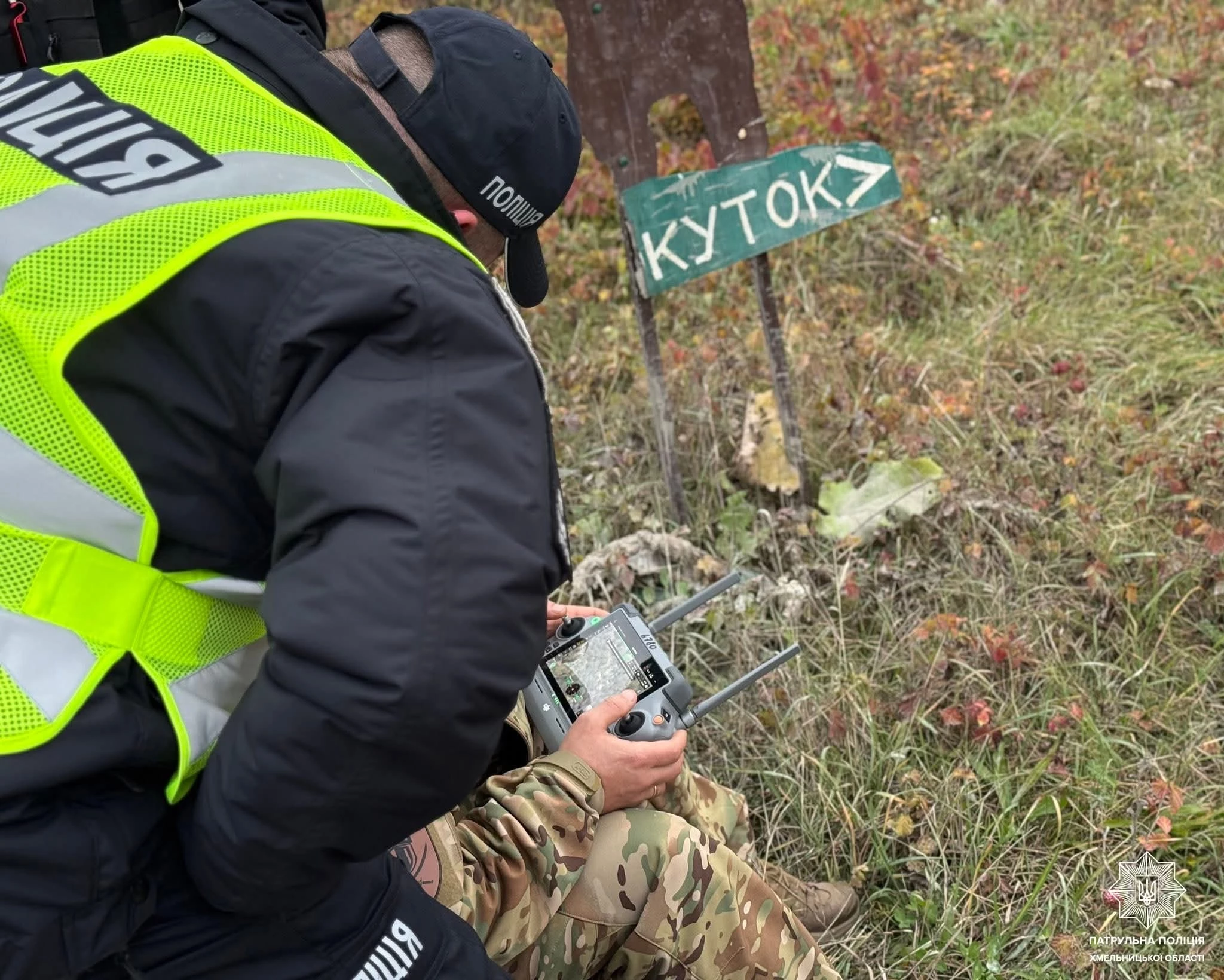 Впіймали левиць, які втекли у Хмельницькому