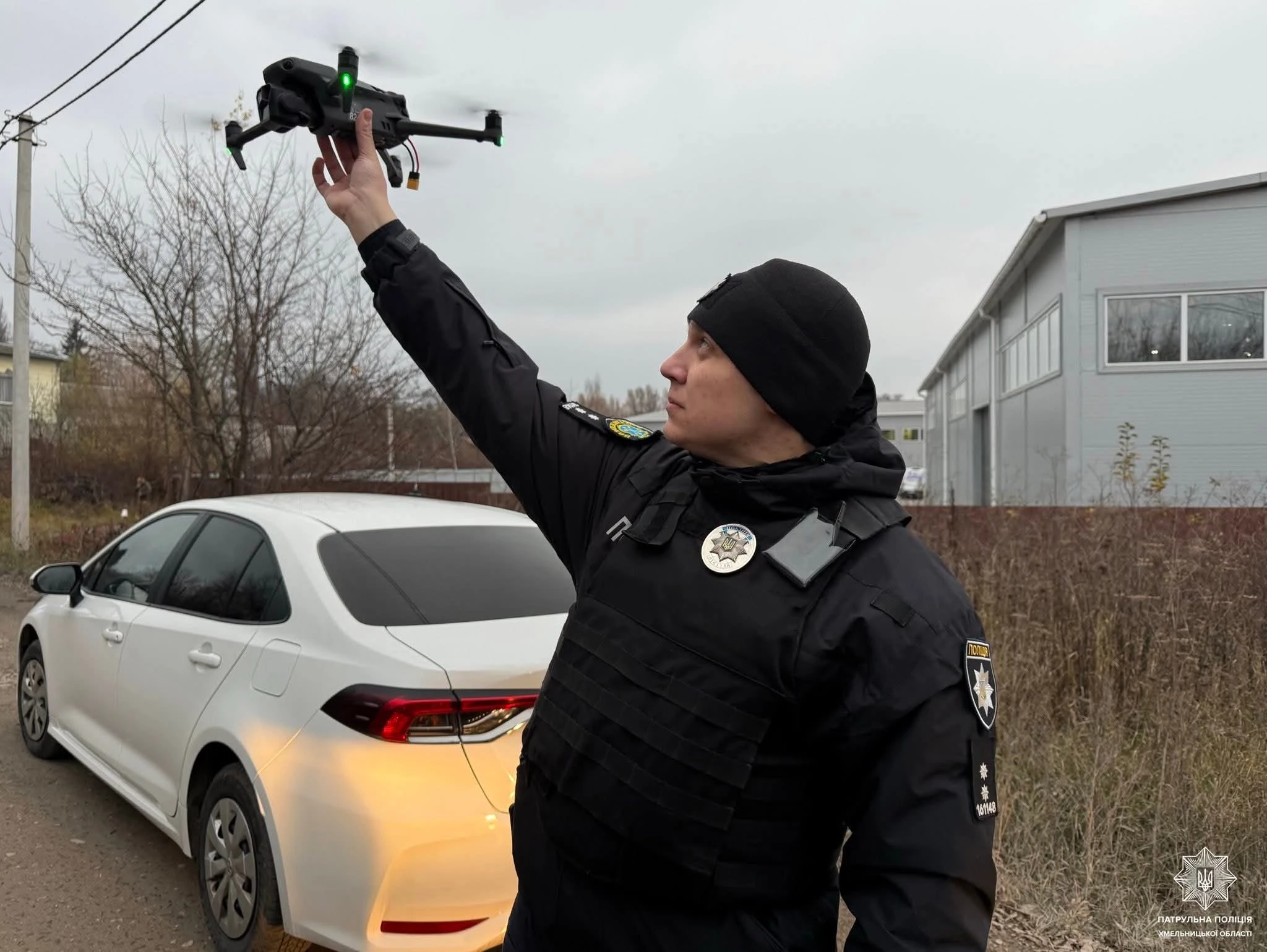 Впіймали левиць, які втекли у Хмельницькому