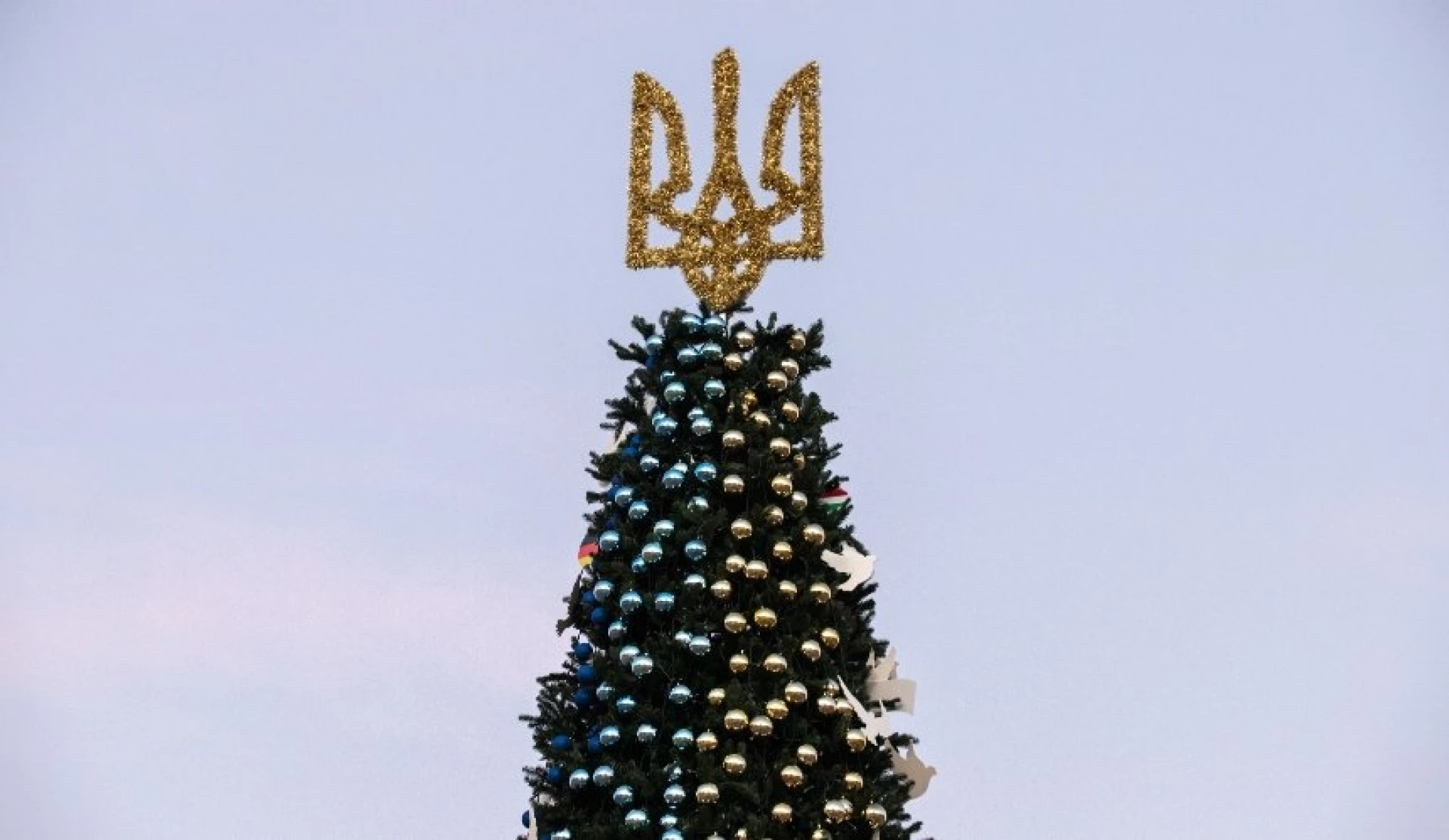 Тисячі гілок, пастельні іграшки і фестиваль чаю: деталі створення головної ялинки країни