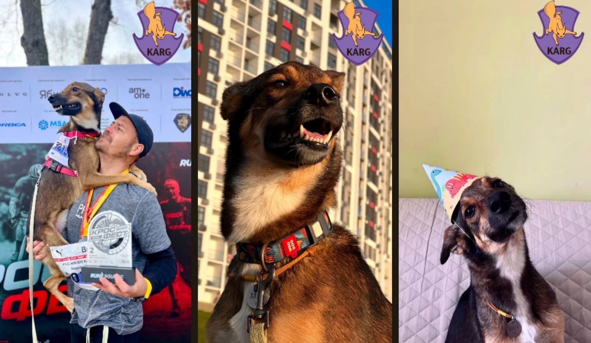 Київська Попелюшка: врятоване цуценя вибороло бронзу на змаганнях