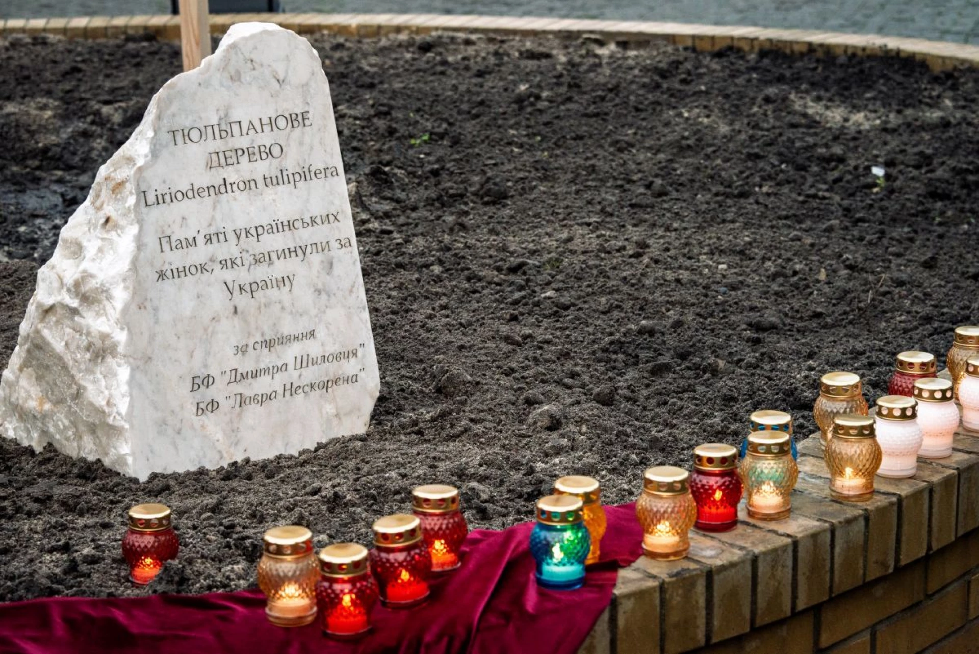 На території Лаври висадили тюльпанове дерево в пам’ять про жінок, які загинули за Україну