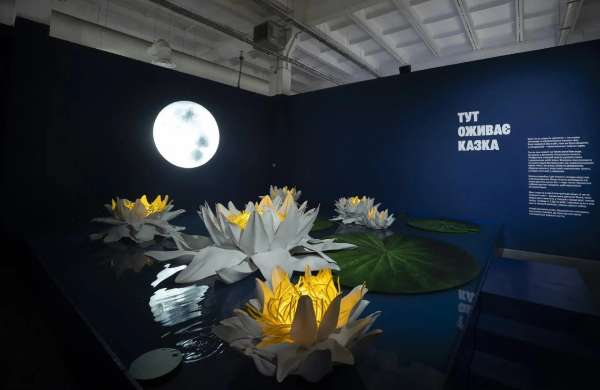 «Щедрик» у виконанні хору «Гомін» та зимові фотозони: Ukraine WOW оголошує зимовий сезон