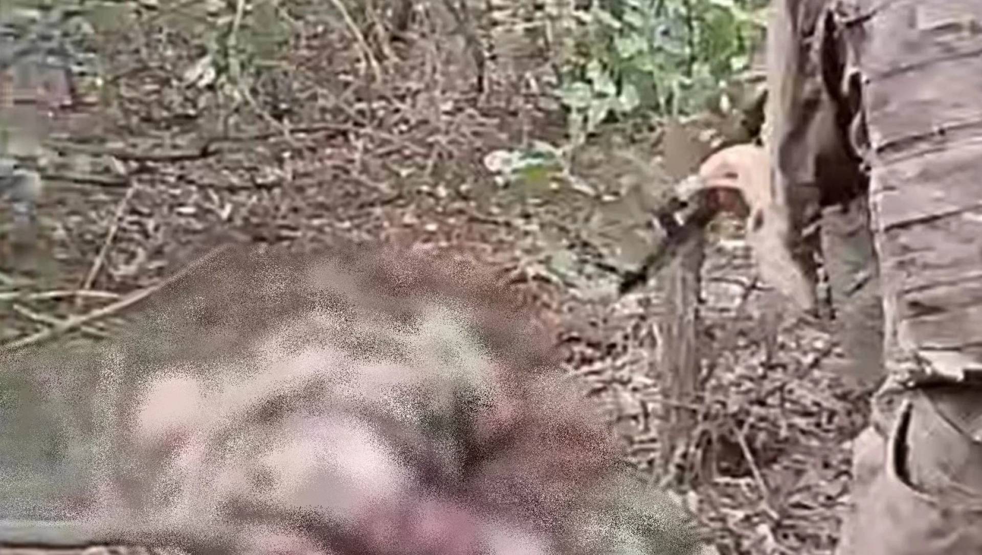 Зв’язали руки, побили і розстріляли – росіяни стратили воїна ЗСУ у Покровсьому районі