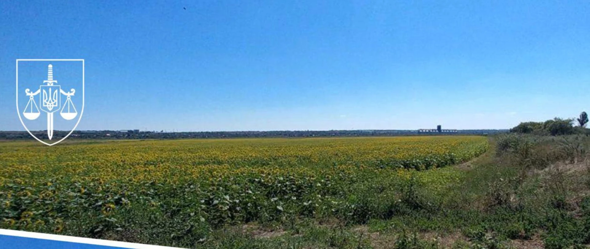 Фермер осушив ставки на Миколаївщині, щоб сіяти соняшник і пшеницю