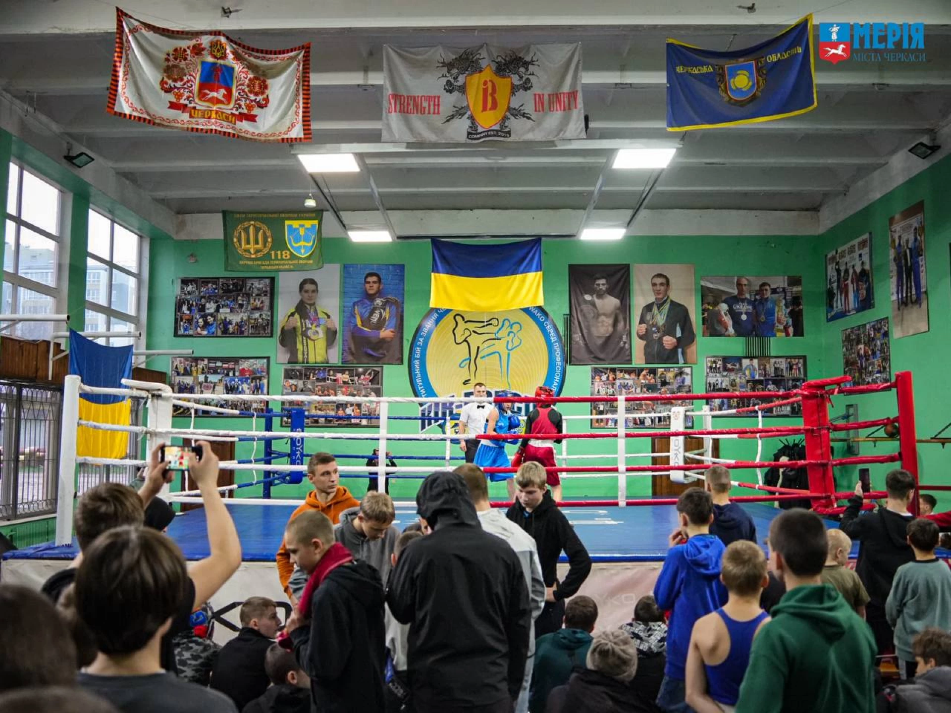 У Черкасах проходить чемпіонат з боксу серед юнаків і юніорів