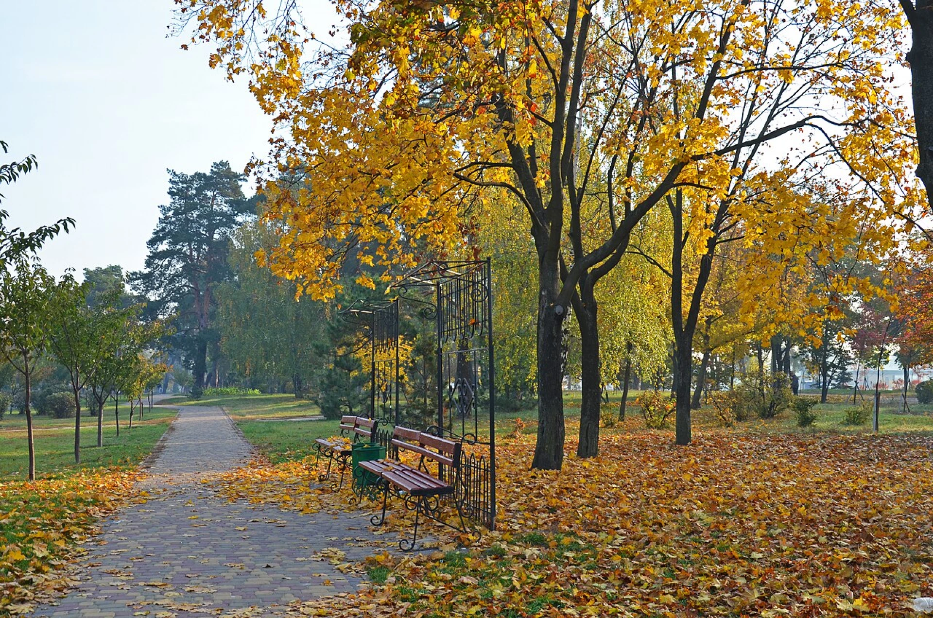 Парк «Кіото» в Києві: японська атмосфера посеред міста