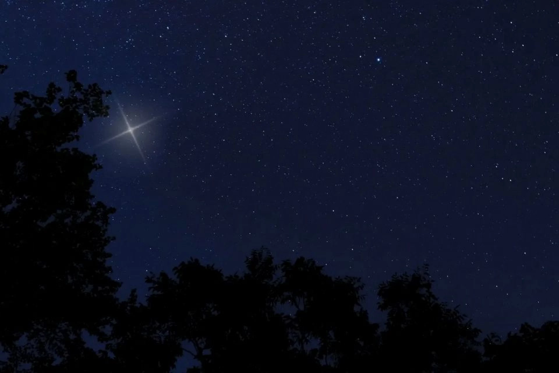 Святвечір у Києві: коли з’явиться перша зірка