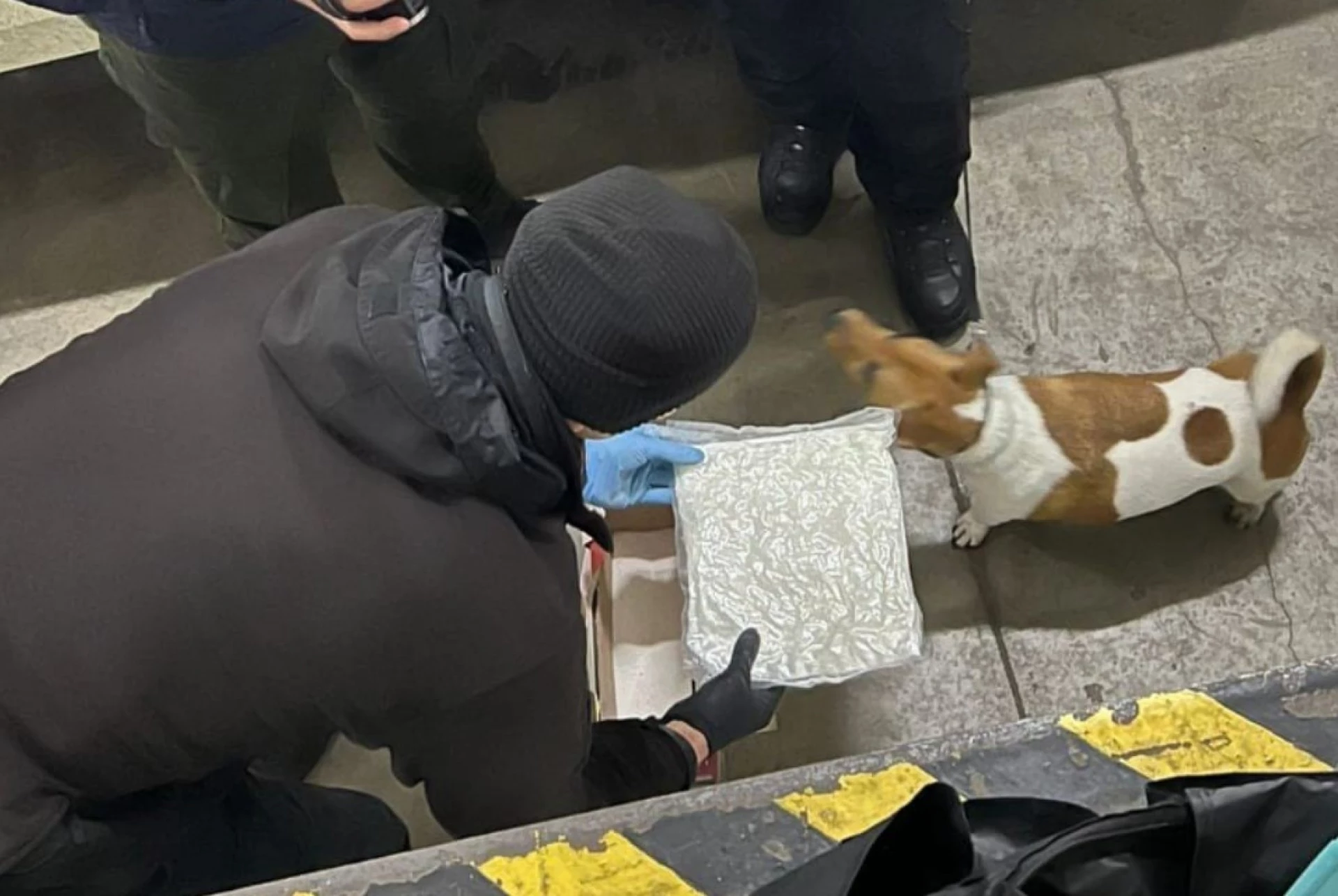 Метамфетамін на 9,5 млн грн: на кордоні зі Словаччиною викрито двох наркоділків