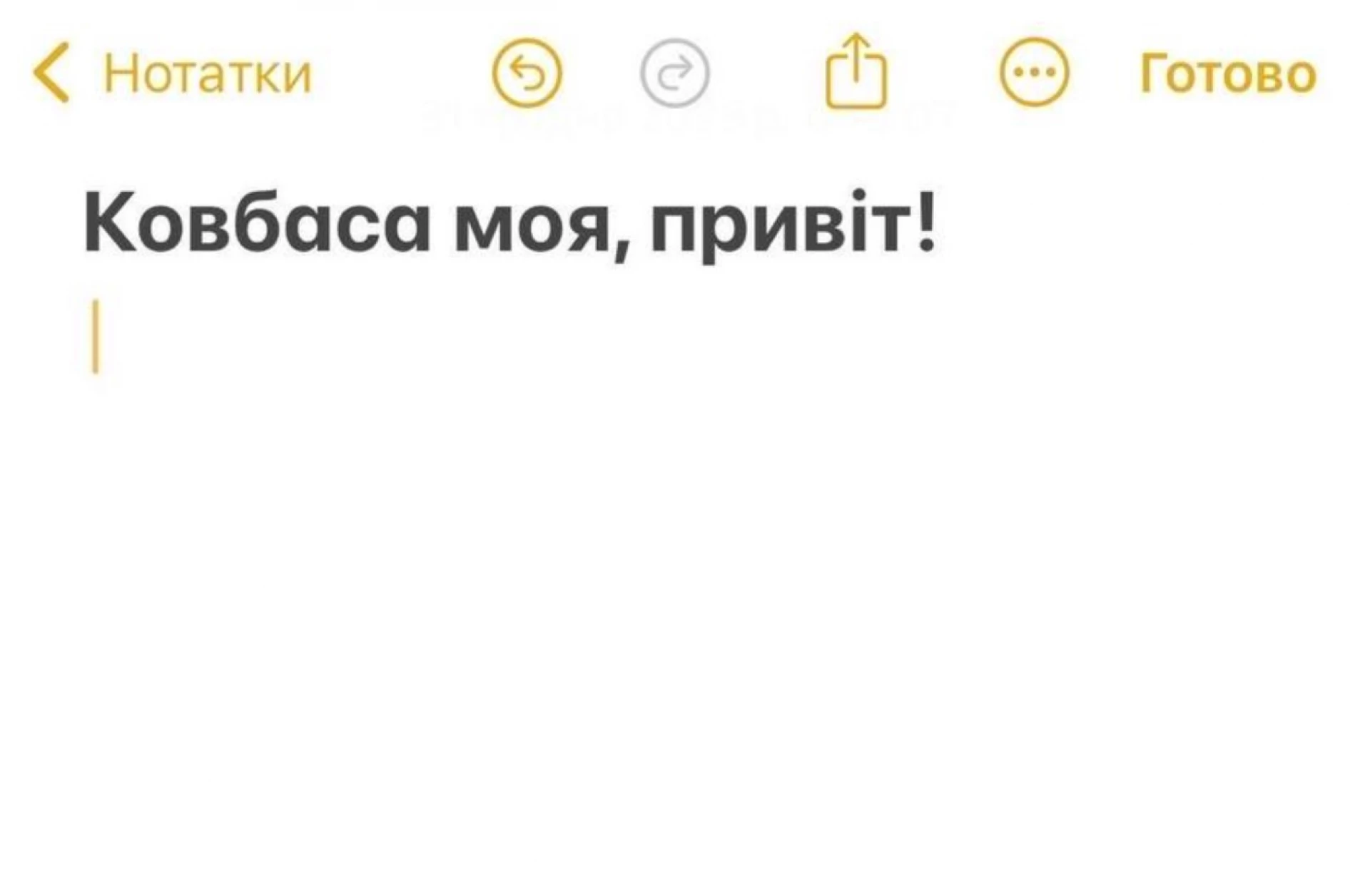 «Ковбаса моя, привіт!», — спецпризначенець «Арчі» зворушив новорічним привітанням для своєї дівчини