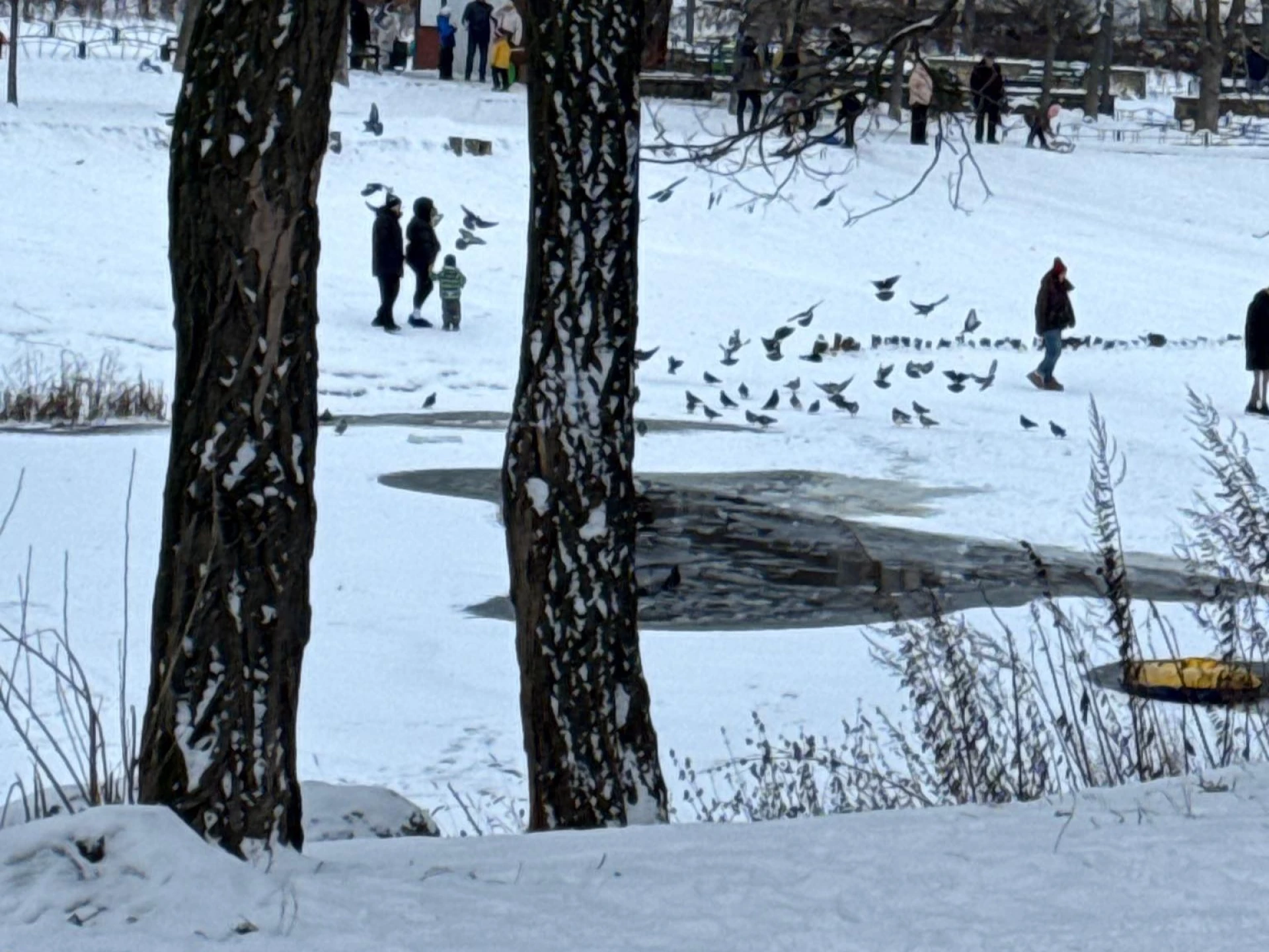 На озері в Києві дитина та дорослі провалилися під кригу