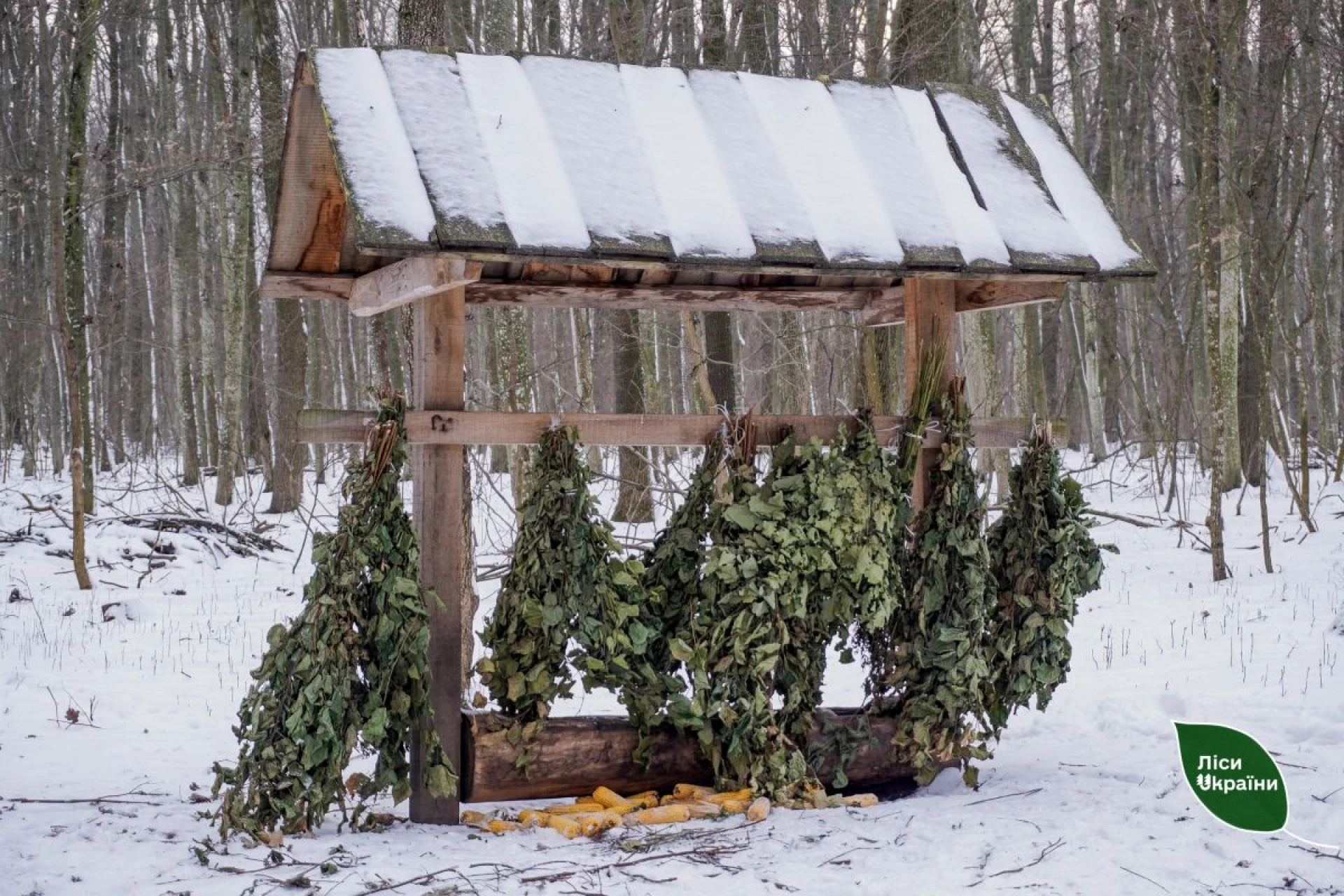 У столичних лісах заготовили понад 200 тонн кормів для диких тварин
