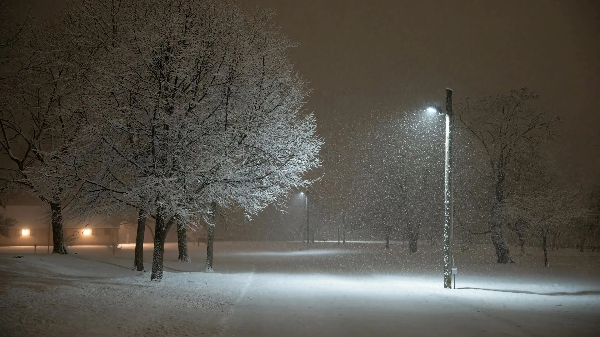 Діденко розповіла, коли в Україні послабшають морози