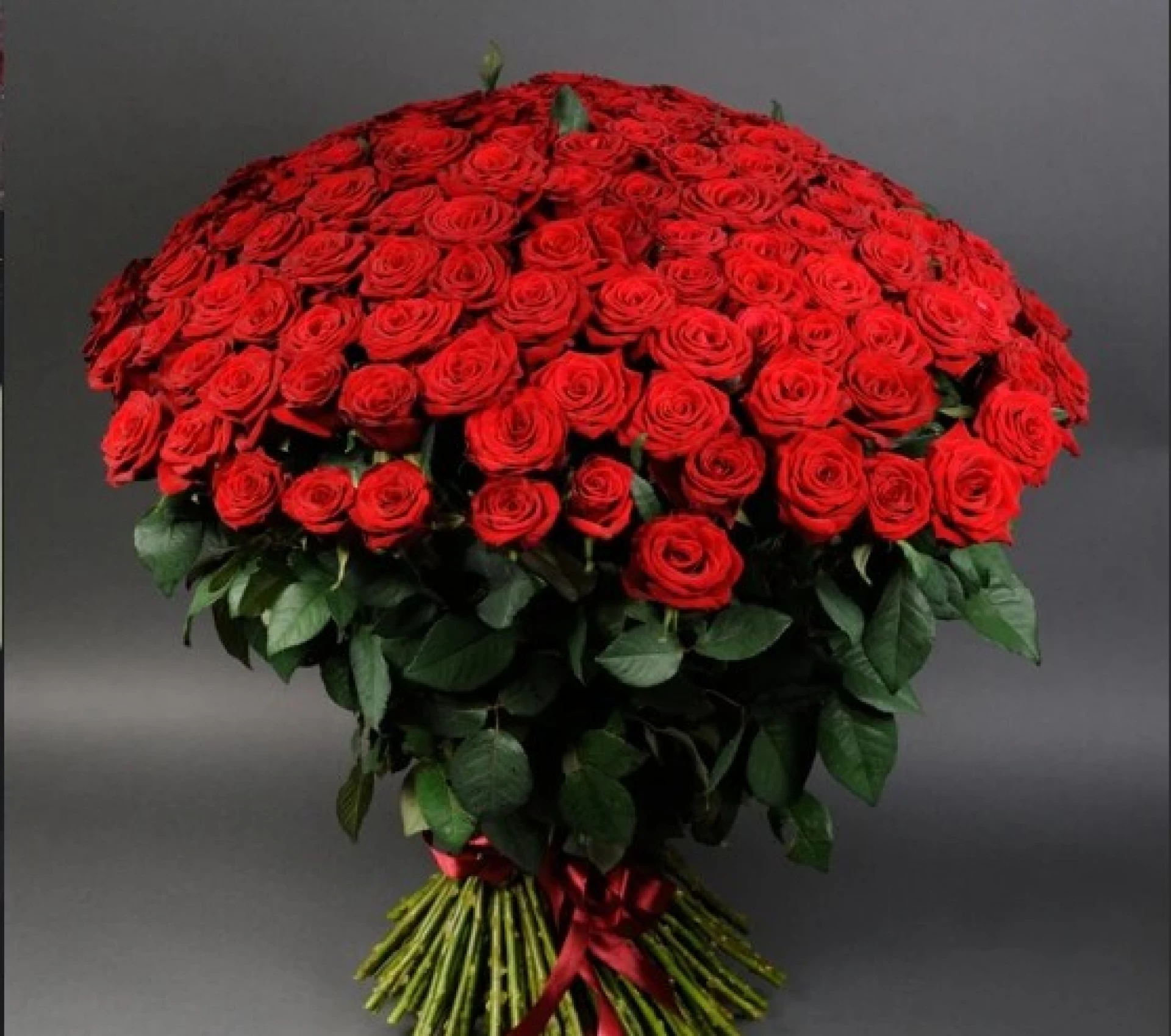 501 троянда – ексклюзивний букет для незабутніх подій