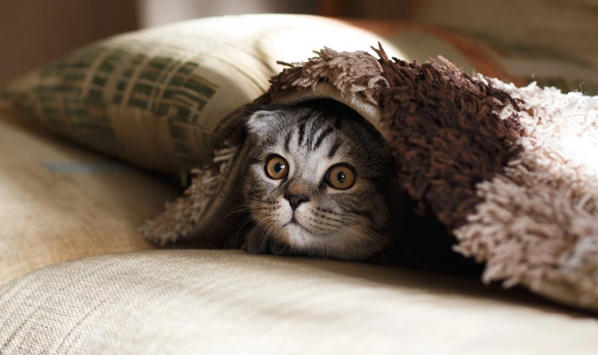 Без опалення у Києві залишаються 400 будинків