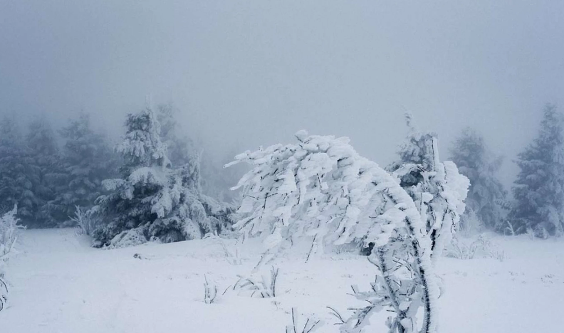 Циклон, який приніс сніг на Черкащину, відійшов на схід