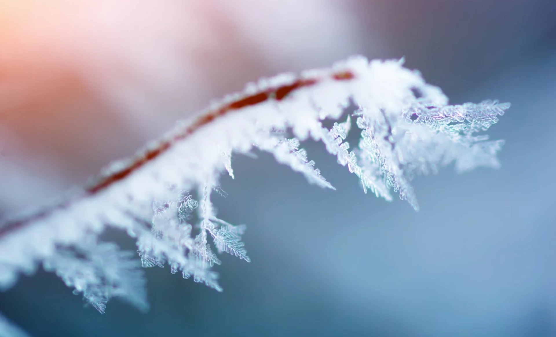 У Золотоноші зафіксували найбільший мороз