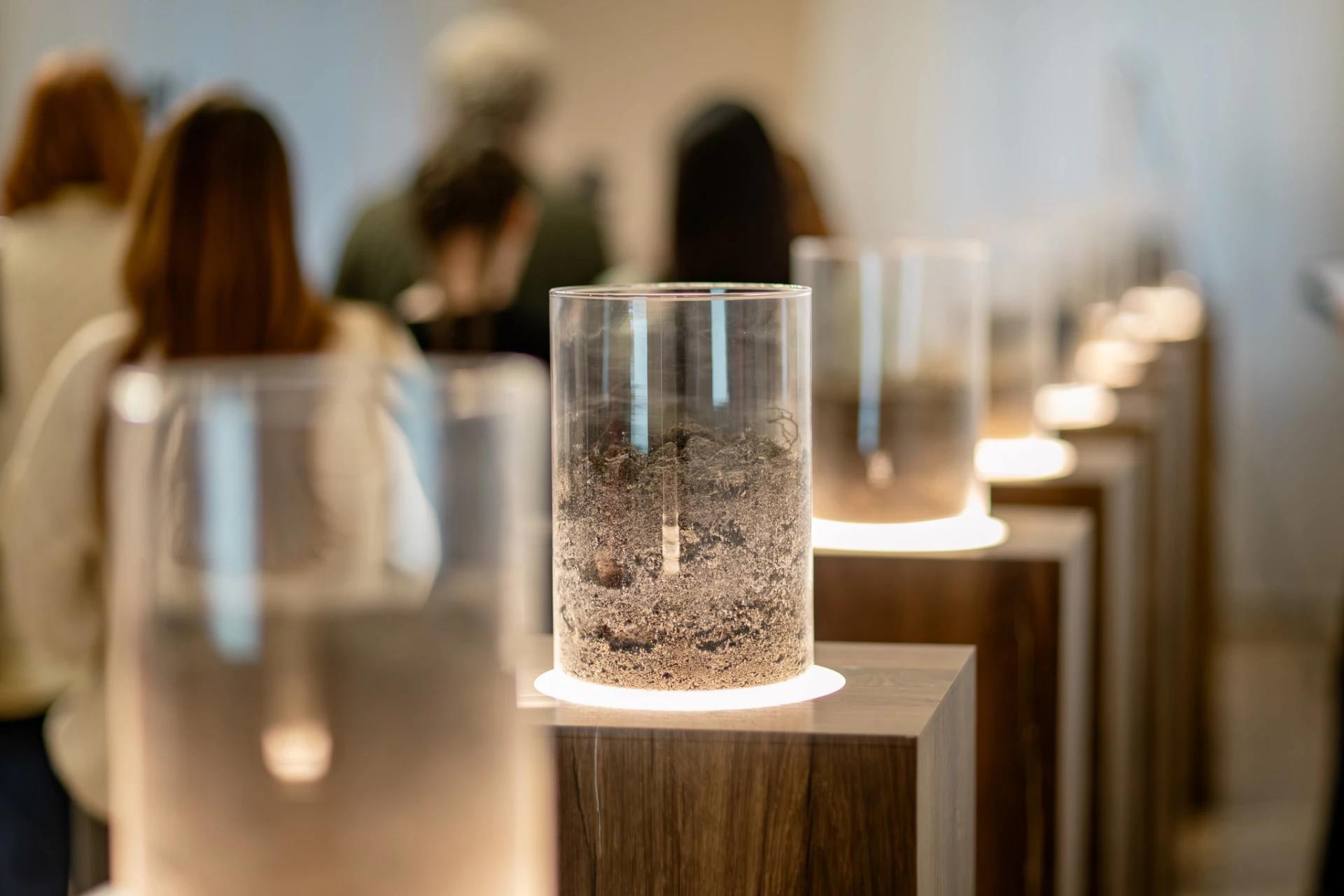 У Києві відкрили аудіоінсталяцію «Земля — носій памʼяті»