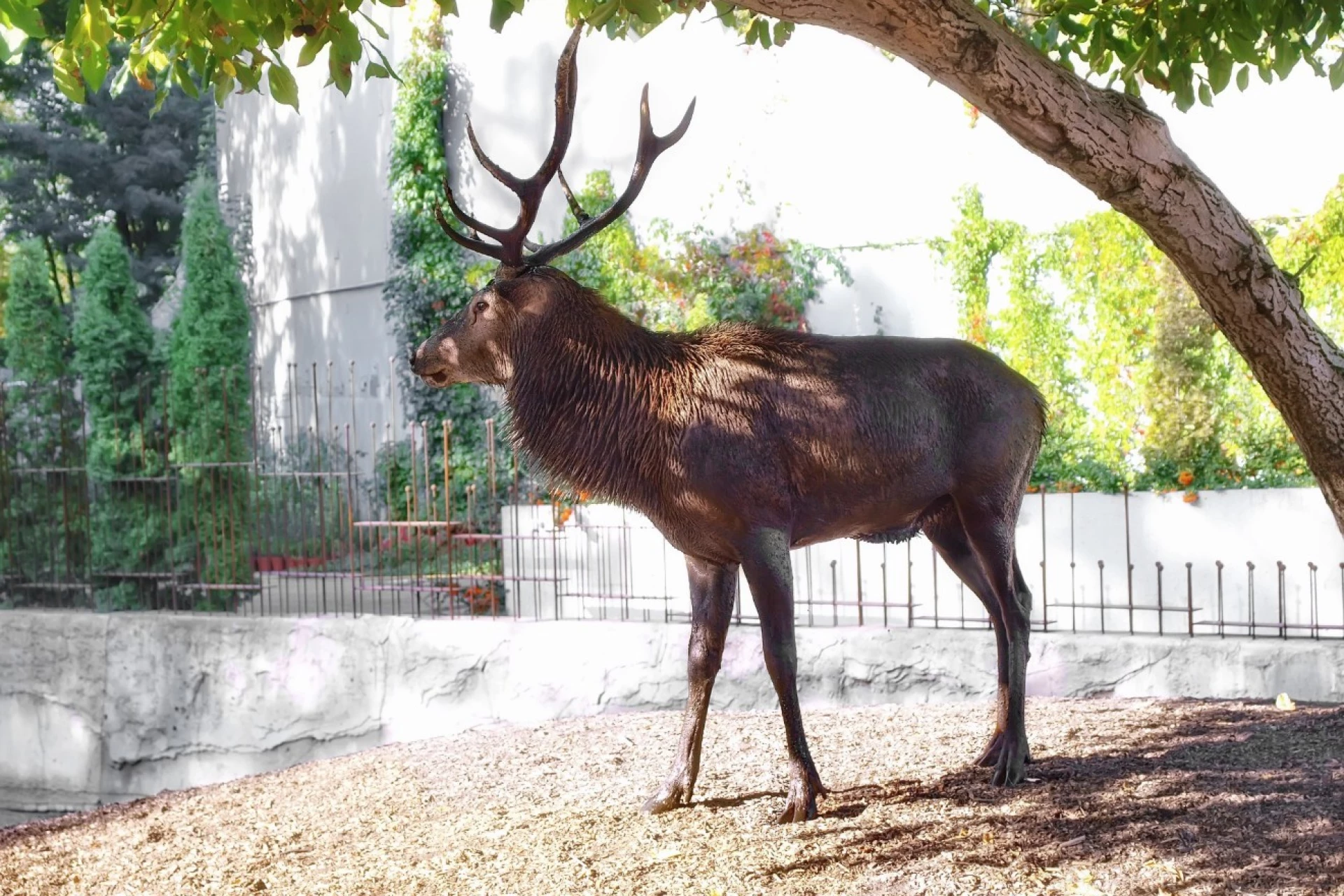 Цікаві місця, куди піти з дитиною в Черкасах