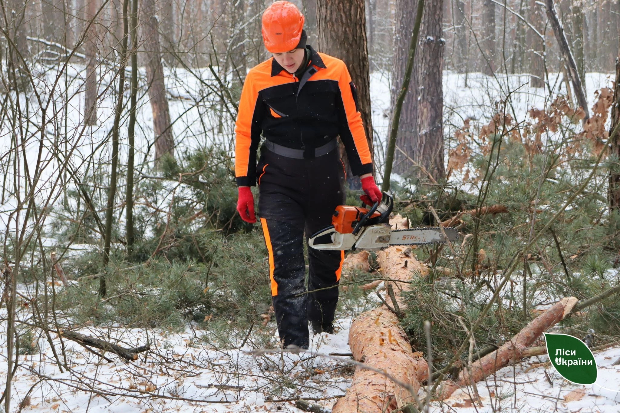 Надлісництва Черкаської області заготували 3,6 тис. кубічних метрів дров з початку року
