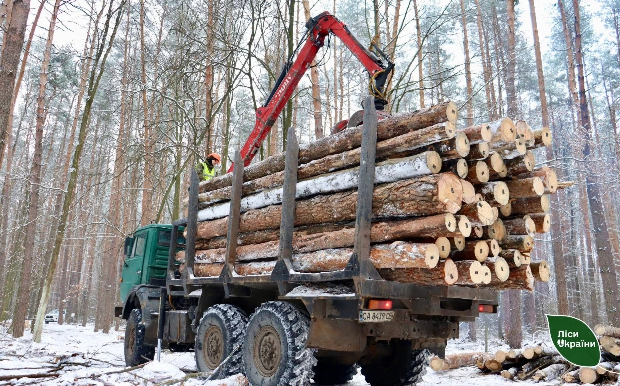 Надлісництва Черкаської області заготували 3,6 тис. кубічних метрів дров з початку року