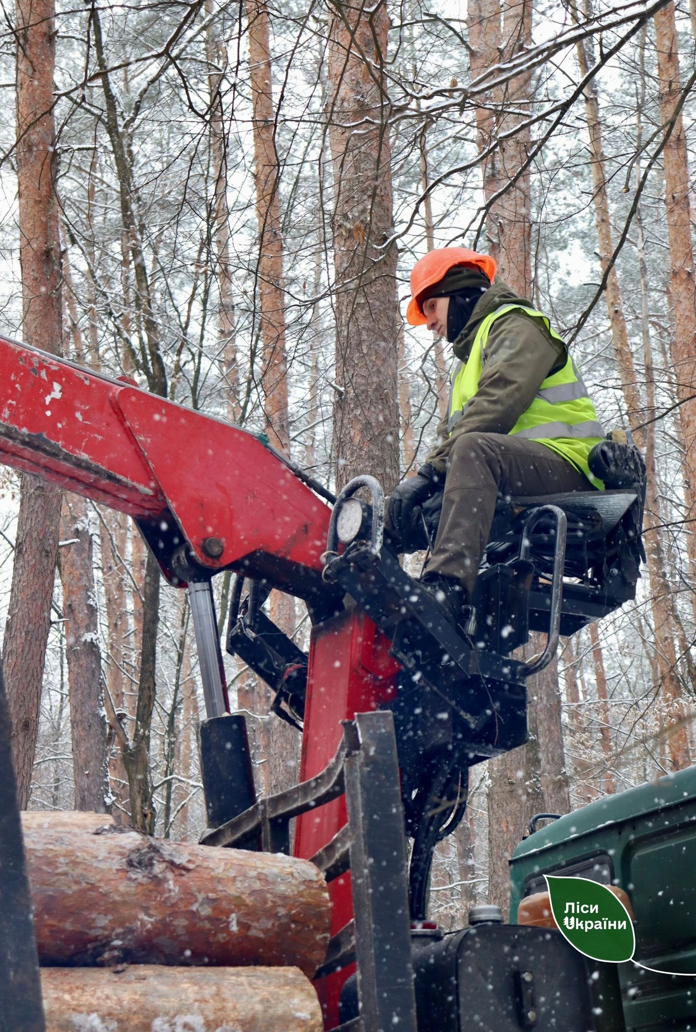 Надлісництва Черкаської області заготували 3,6 тис. кубічних метрів дров з початку року