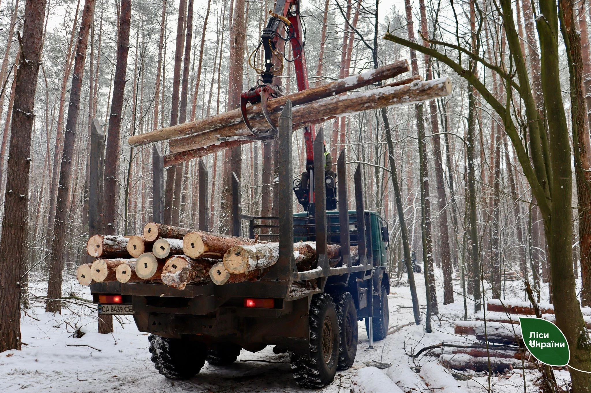 Надлісництва Черкаської області заготували 3,6 тис. кубічних метрів дров з початку року