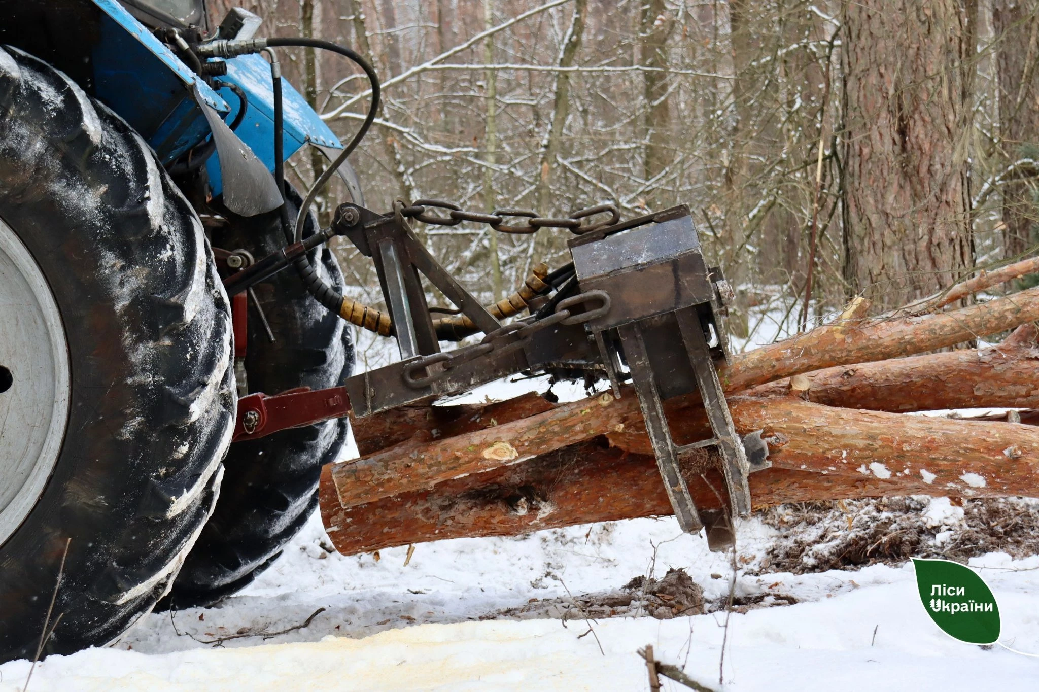 Надлісництва Черкаської області заготували 3,6 тис. кубічних метрів дров з початку року